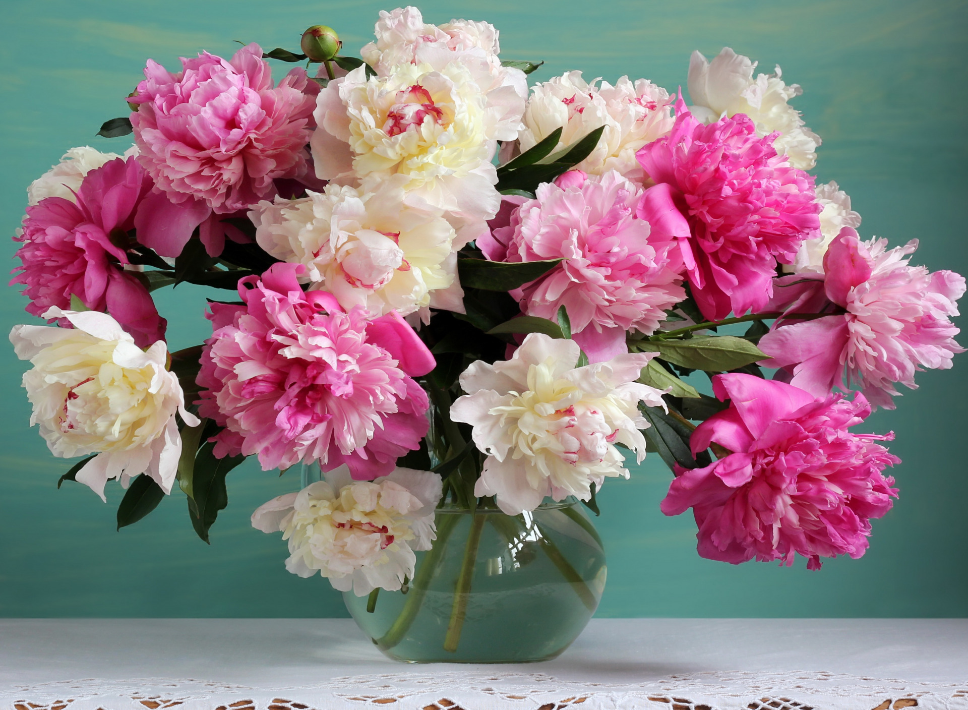 Пион (Paeonia Bouquet perfect