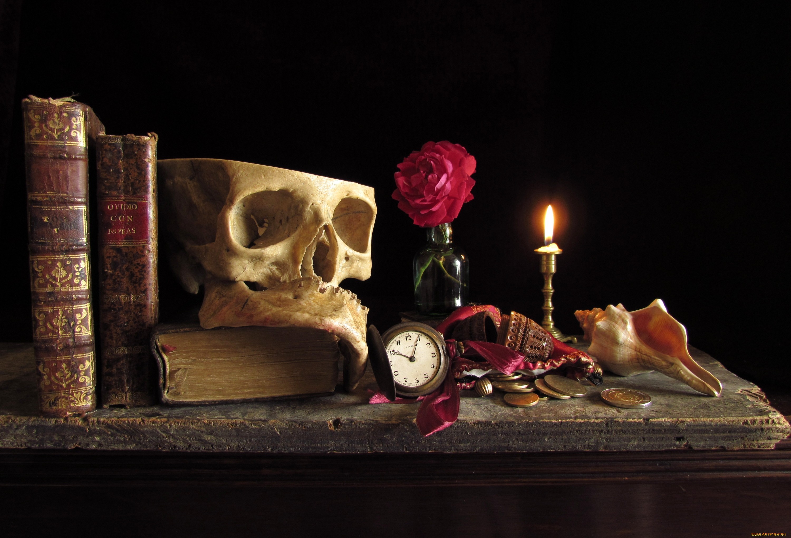 Download mobile wallpaper Still Life, Background, Death for free.