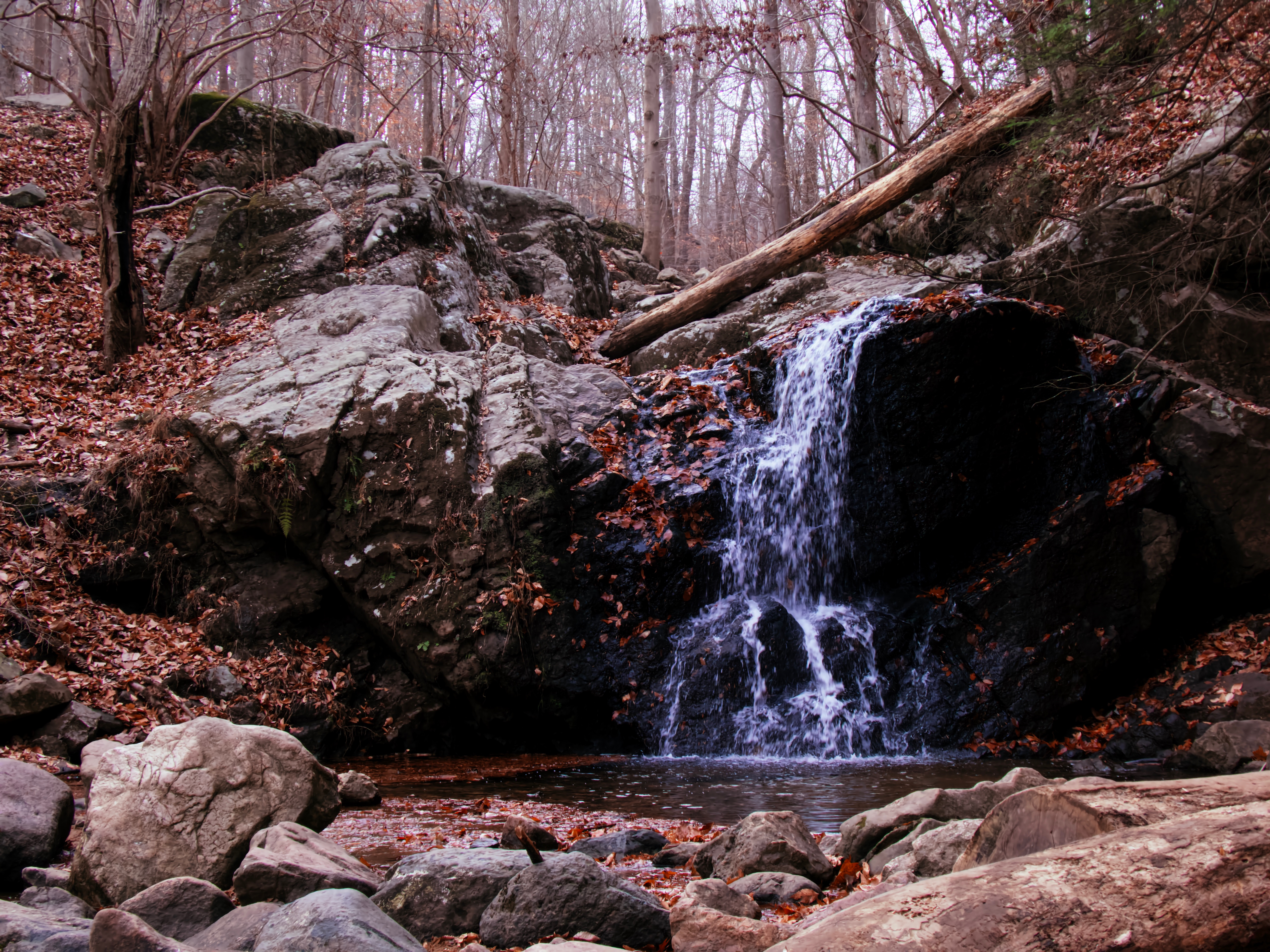 nature, autumn, rock, waterfall, creek, brook cellphone