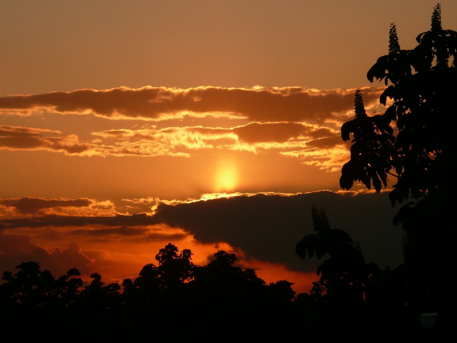 Download mobile wallpaper Sky, Sun, Landscape, Sunset for free.