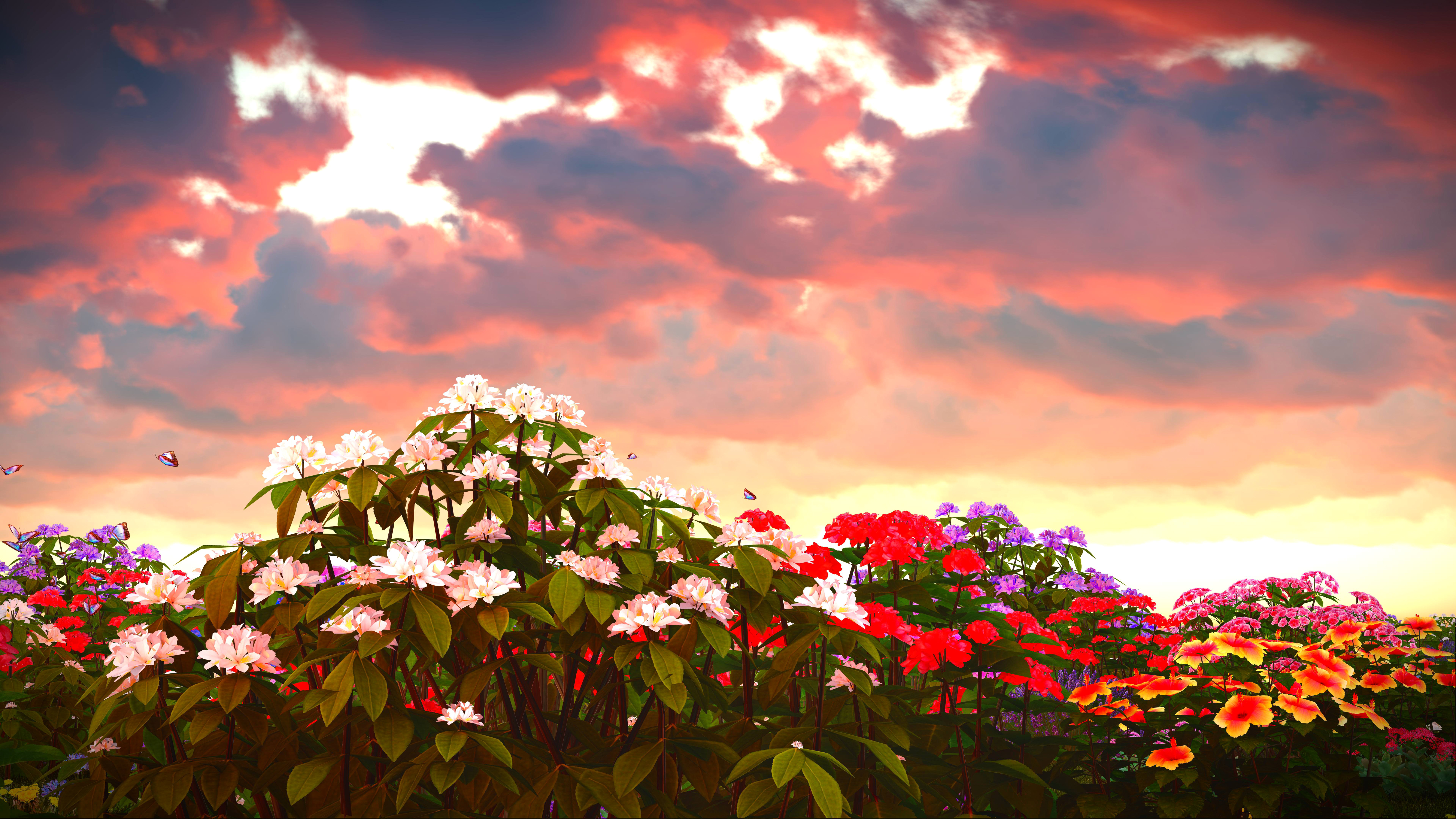 earth, phlox, cloud, flower, nature, purple flower, red flower, white flower, flowers download HD wallpaper