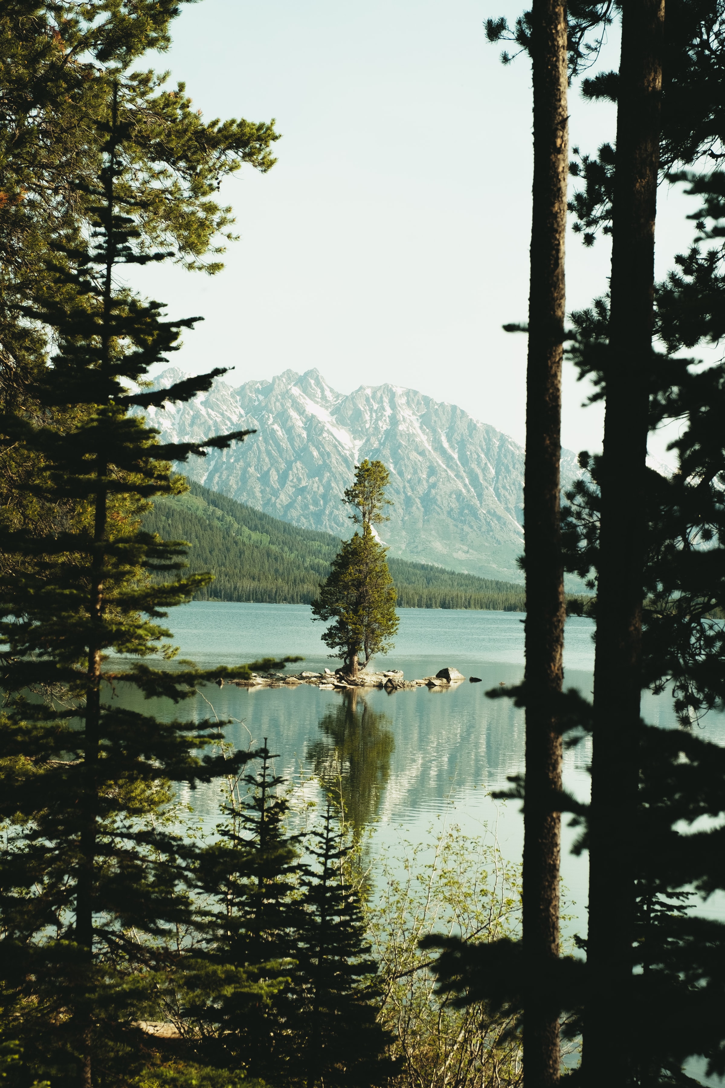 PCデスクトップに自然, 山脈, 湖, スプルース, モミ, 坂, スロープ画像を無料でダウンロード