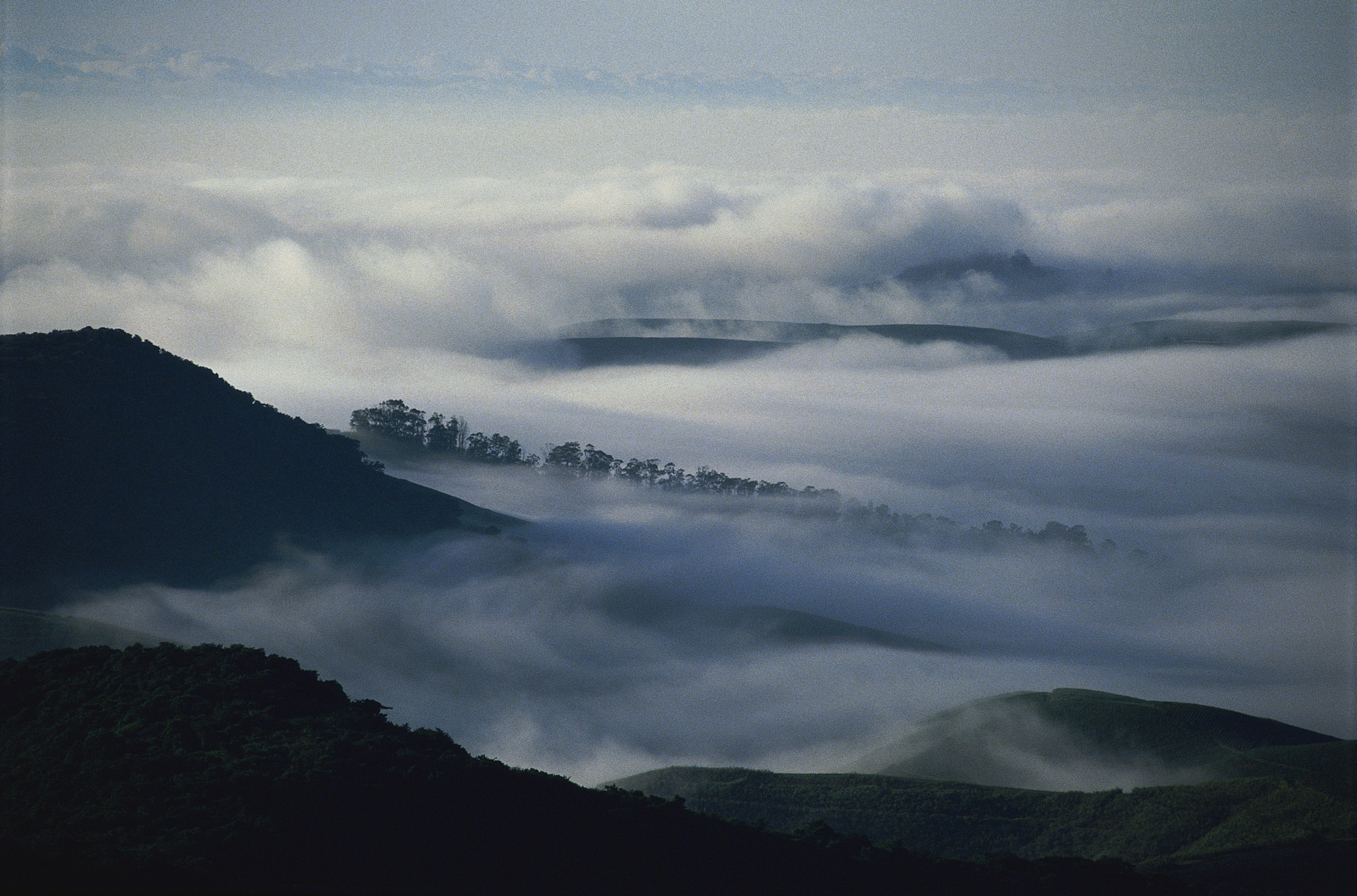 116015 Hintergrundbild herunterladen natur, bäume, mountains, clouds, nebel, dunkelheit, dunst, haze - Bildschirmschoner und Bilder kostenlos