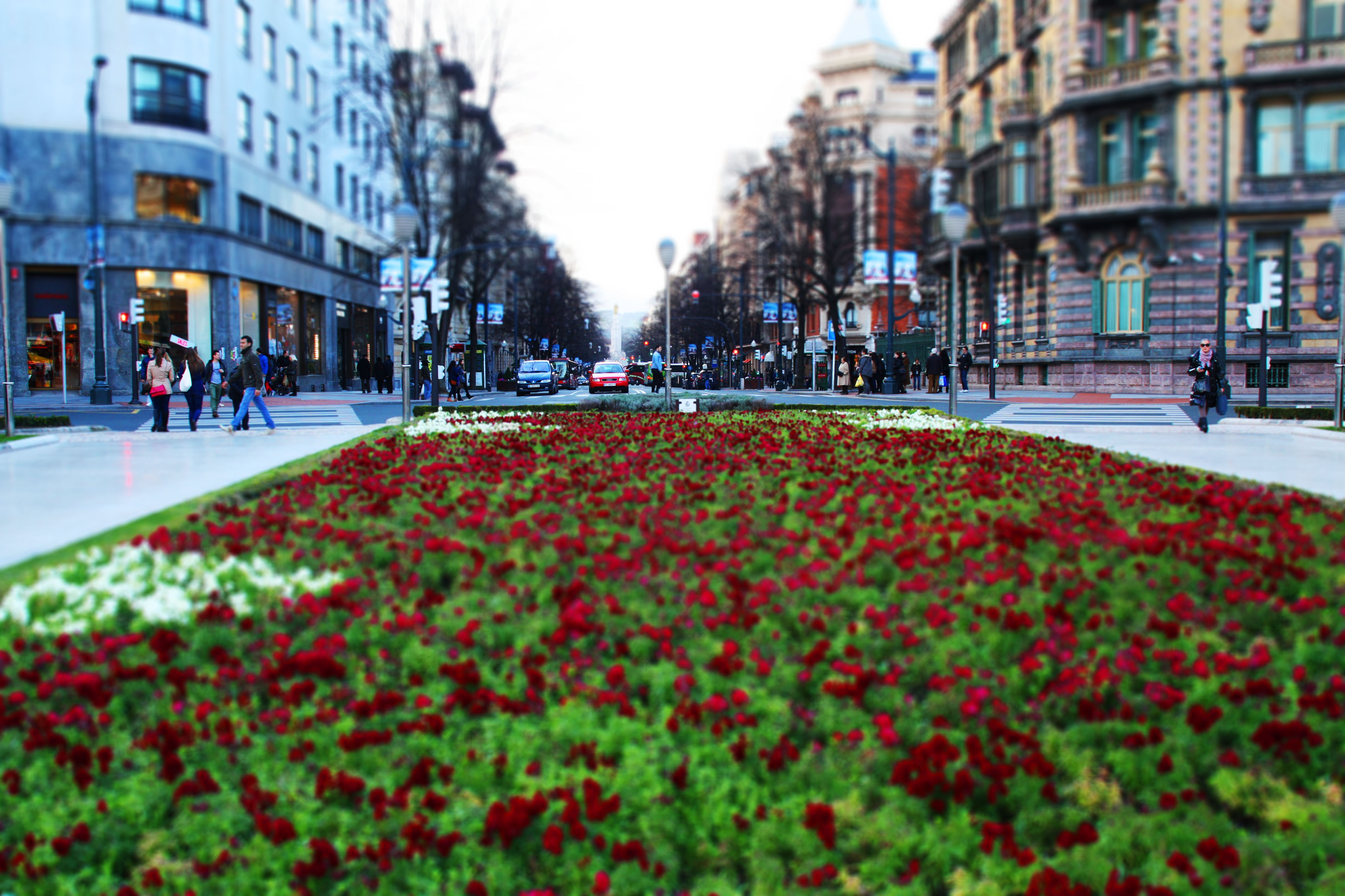 Цветы на городских улицах