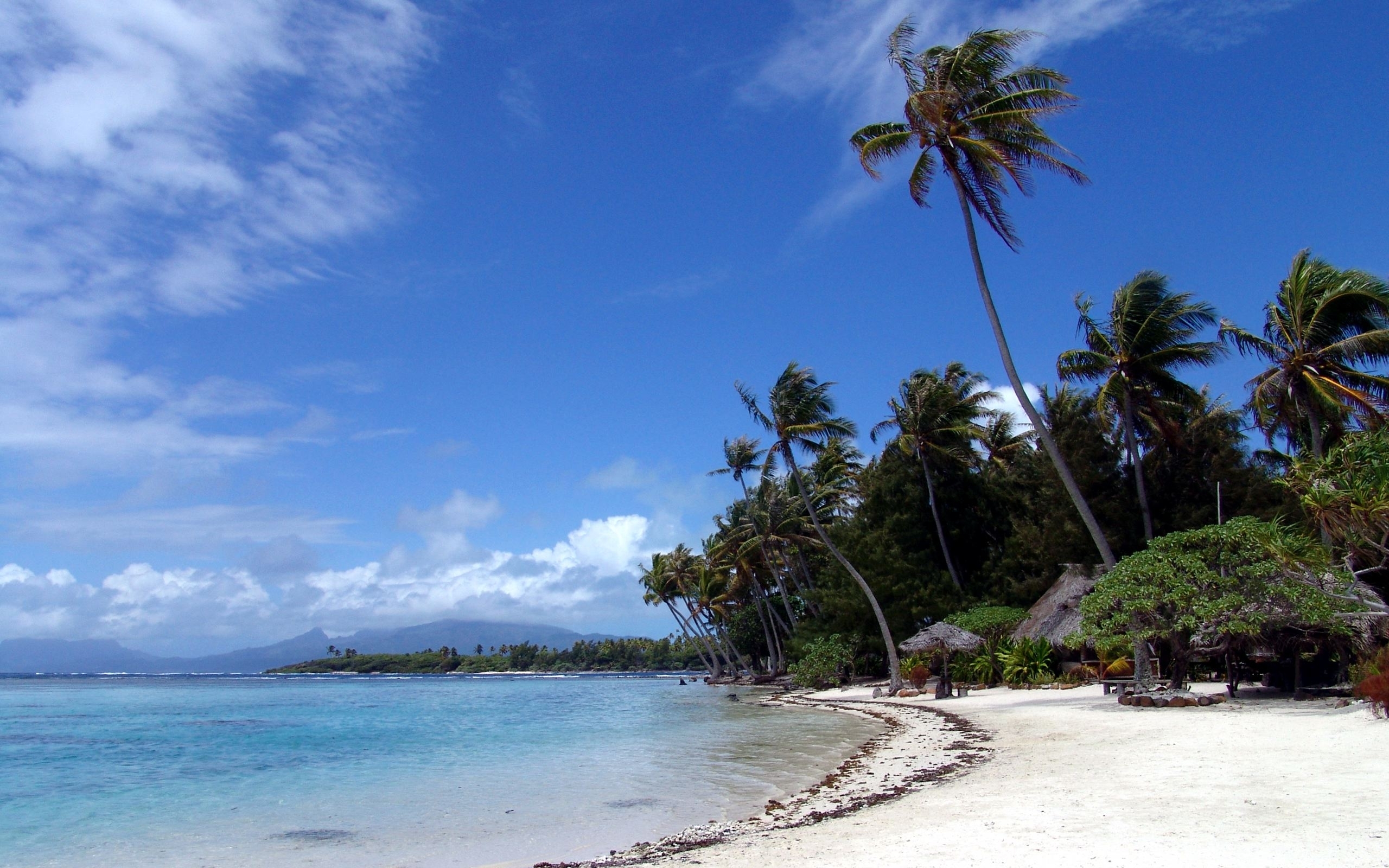 Laden Sie das Landschaft, Sky, Sea, Palms, Strand-Bild kostenlos auf Ihren PC-Desktop herunter