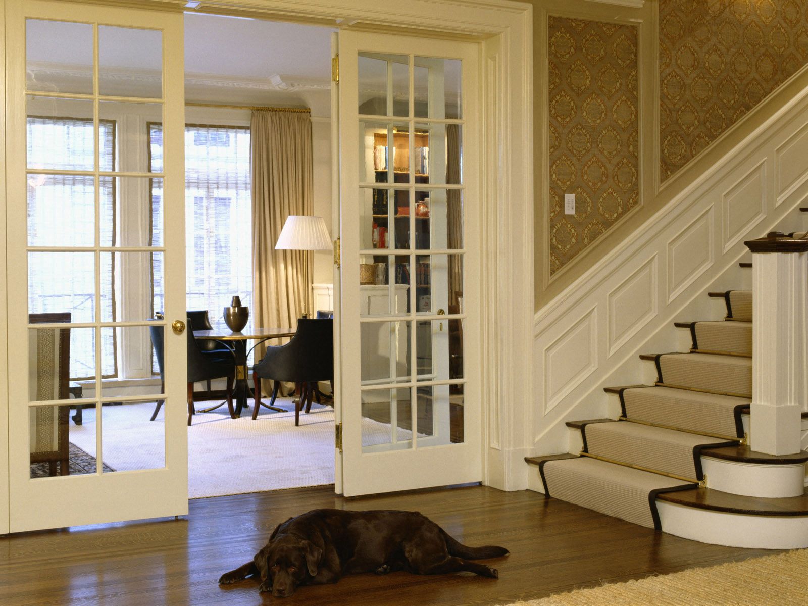Handy-Wallpaper Verschiedenes, Sonstige, Leiter, Treppe, Gang, Korridor, Hund kostenlos herunterladen.