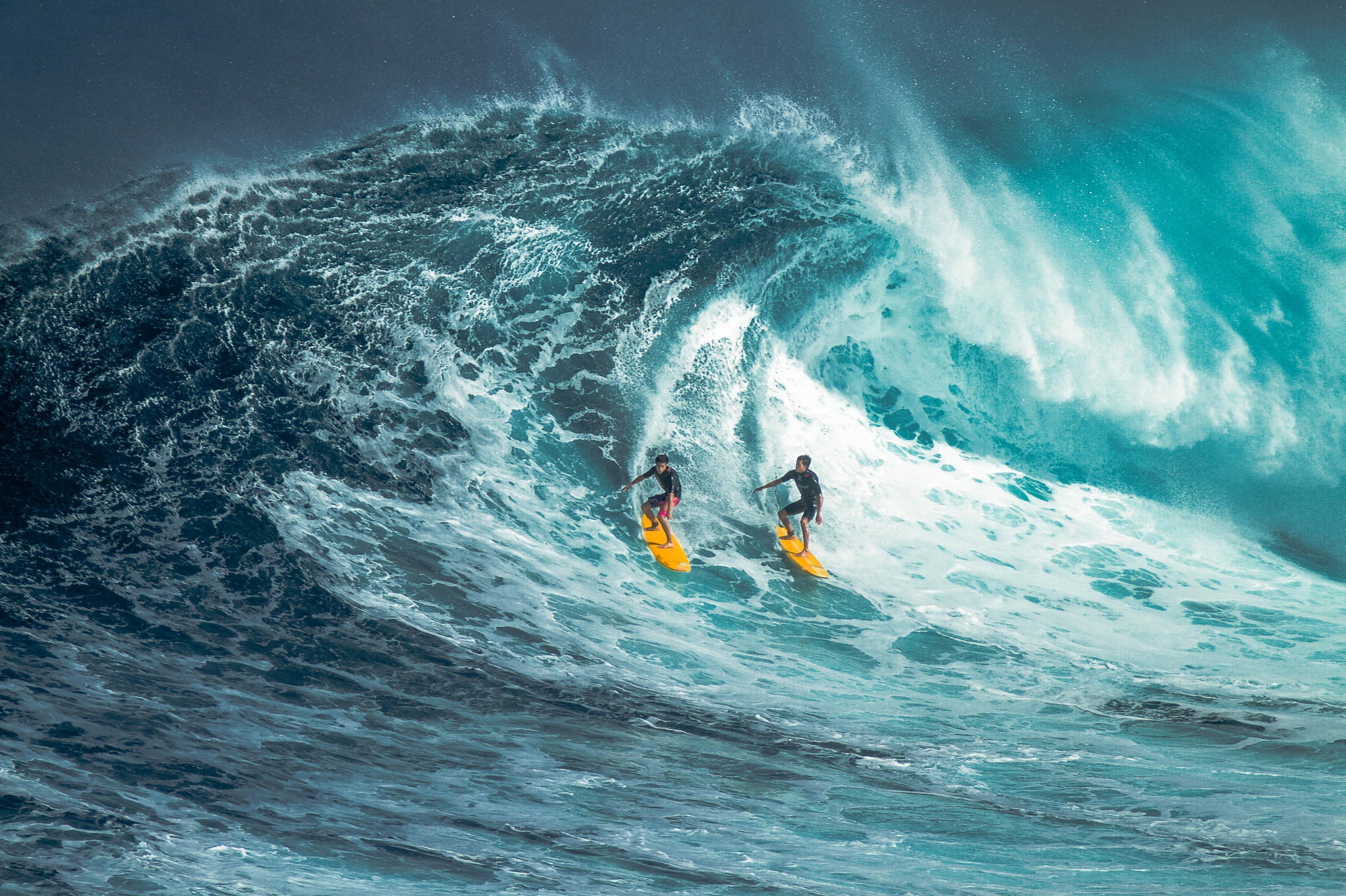 wave, sports, surfing, ocean, surfer
