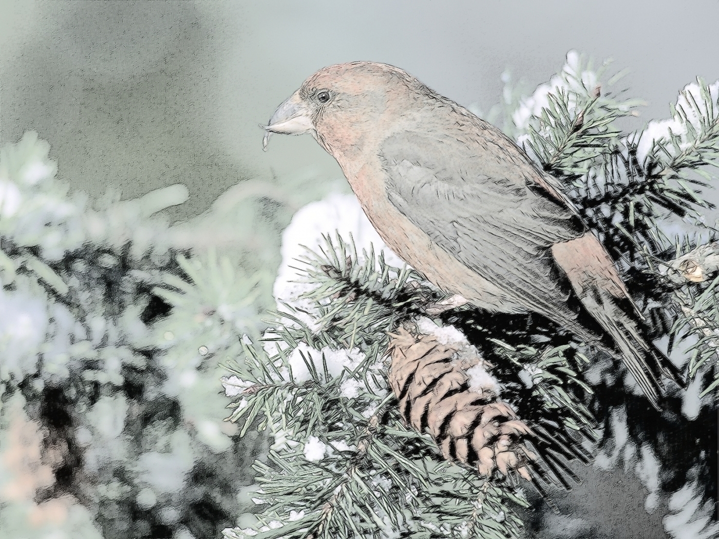 Download mobile wallpaper Snow, Animals, Landscape, Birds for free.