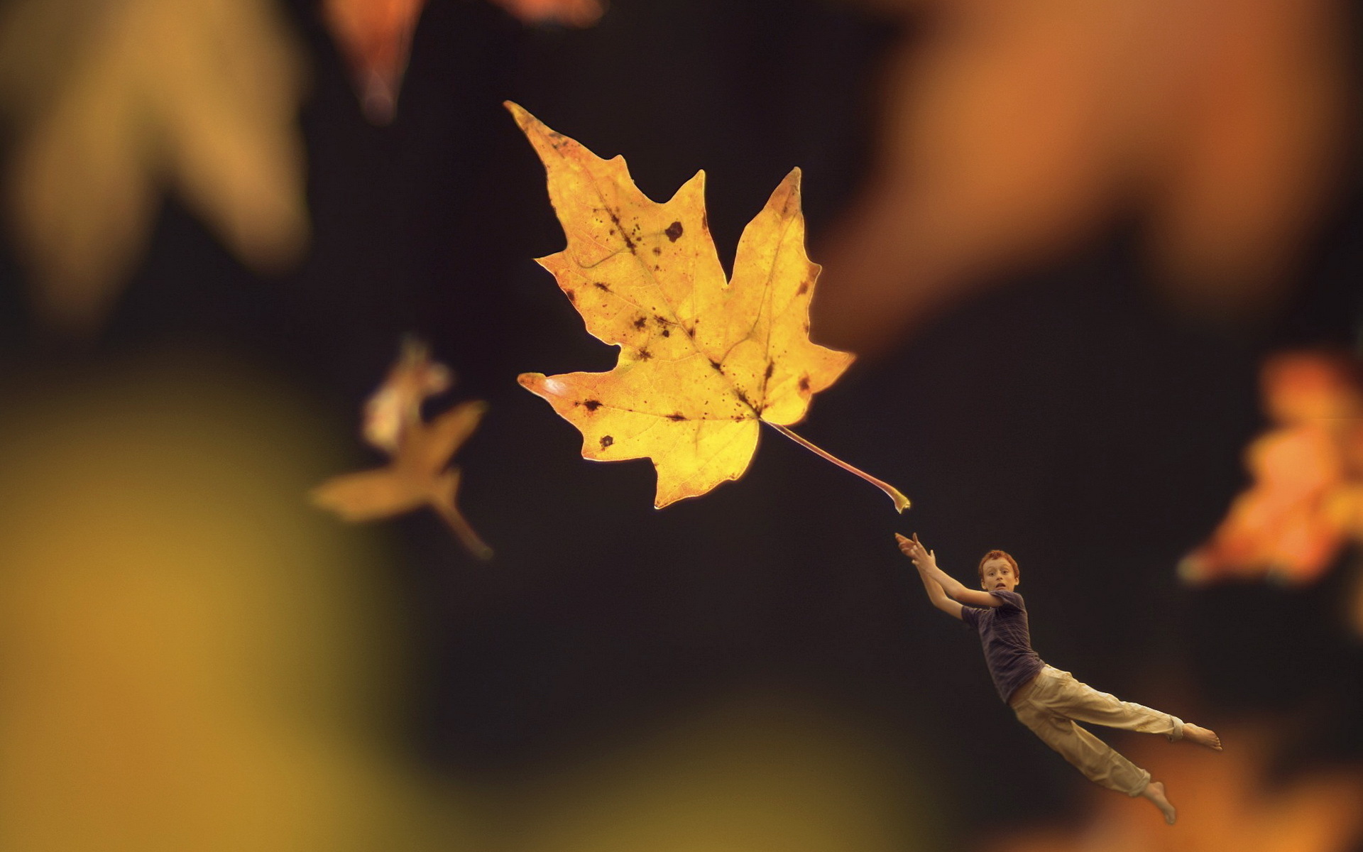 Падающий кленовый лист