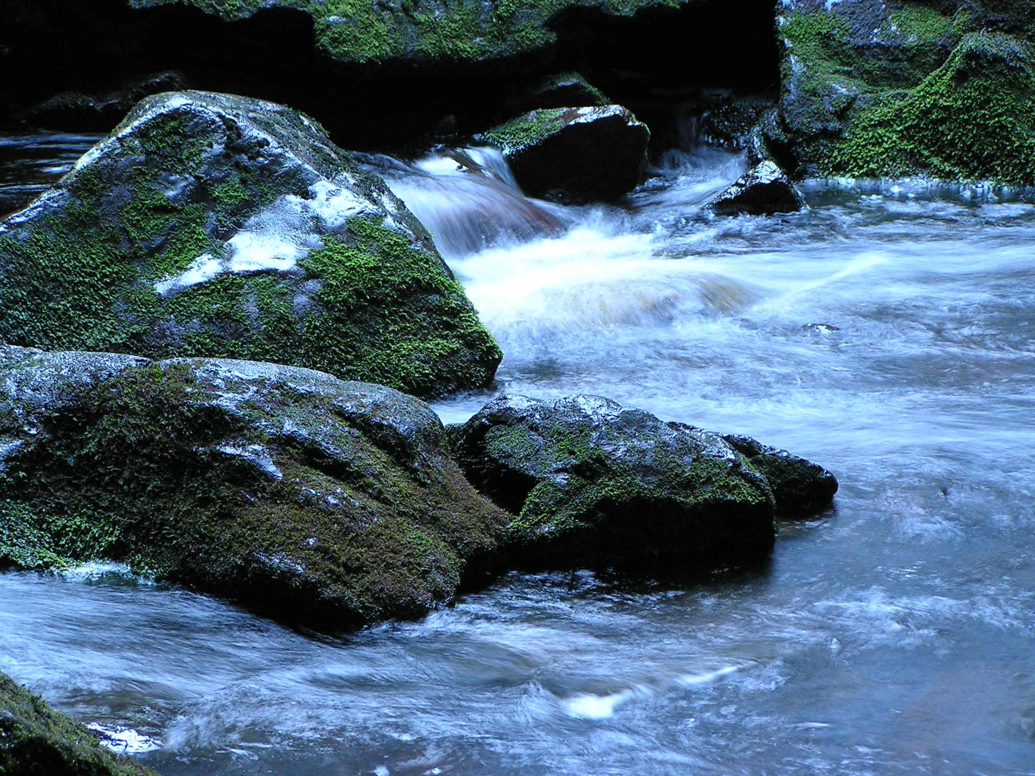 Река земля 2. River no background.