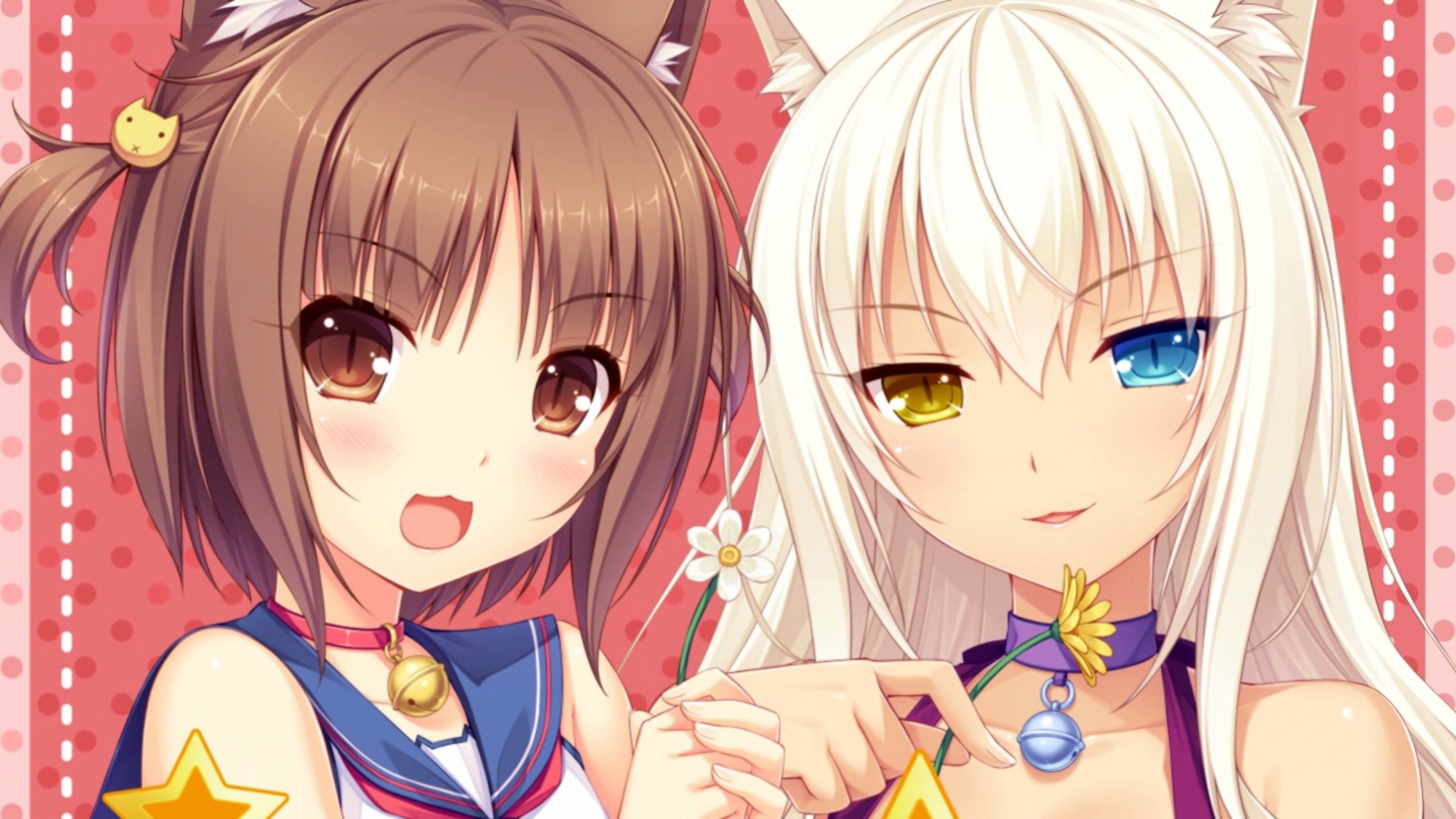 фон стима nekopara фото 107