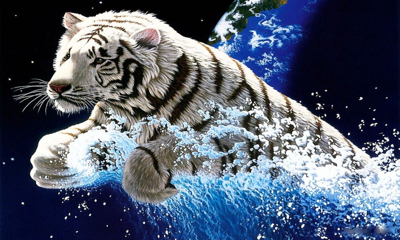 1436343 baixar papel de parede animais, tigre branco - protetores de tela e imagens gratuitamente