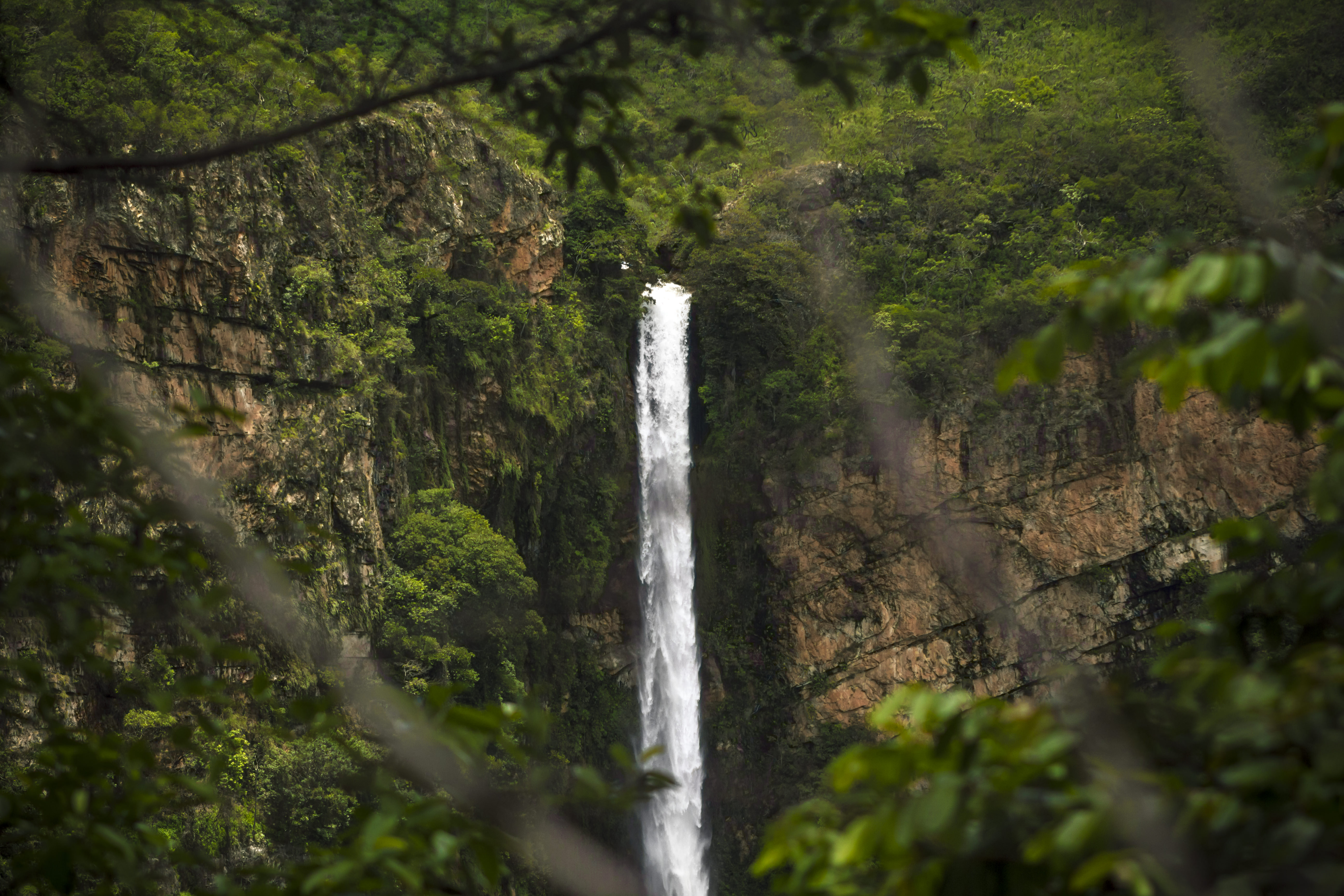 Водопад в джунгли без фотошопа