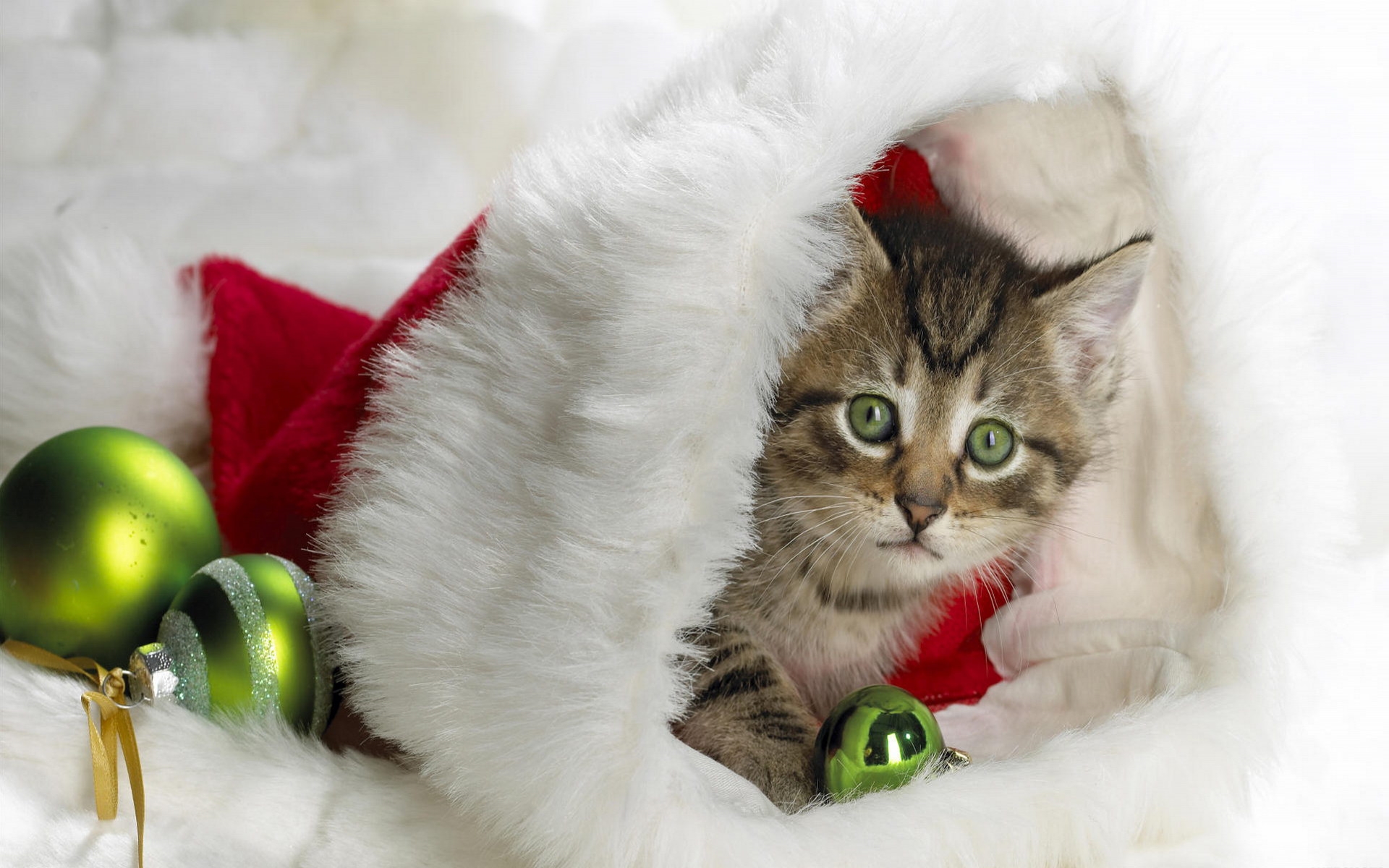 522967 免費下載壁紙 动物, 猫, 圣诞节, 小猫, 圣诞帽 屏保和圖片