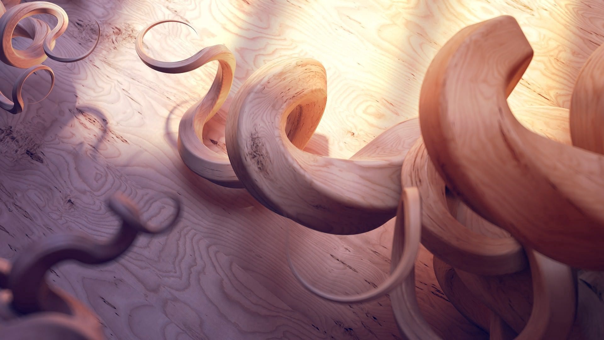 3d, wood, tree, shadow, chip, spiral, spirals, shavings High Definition image