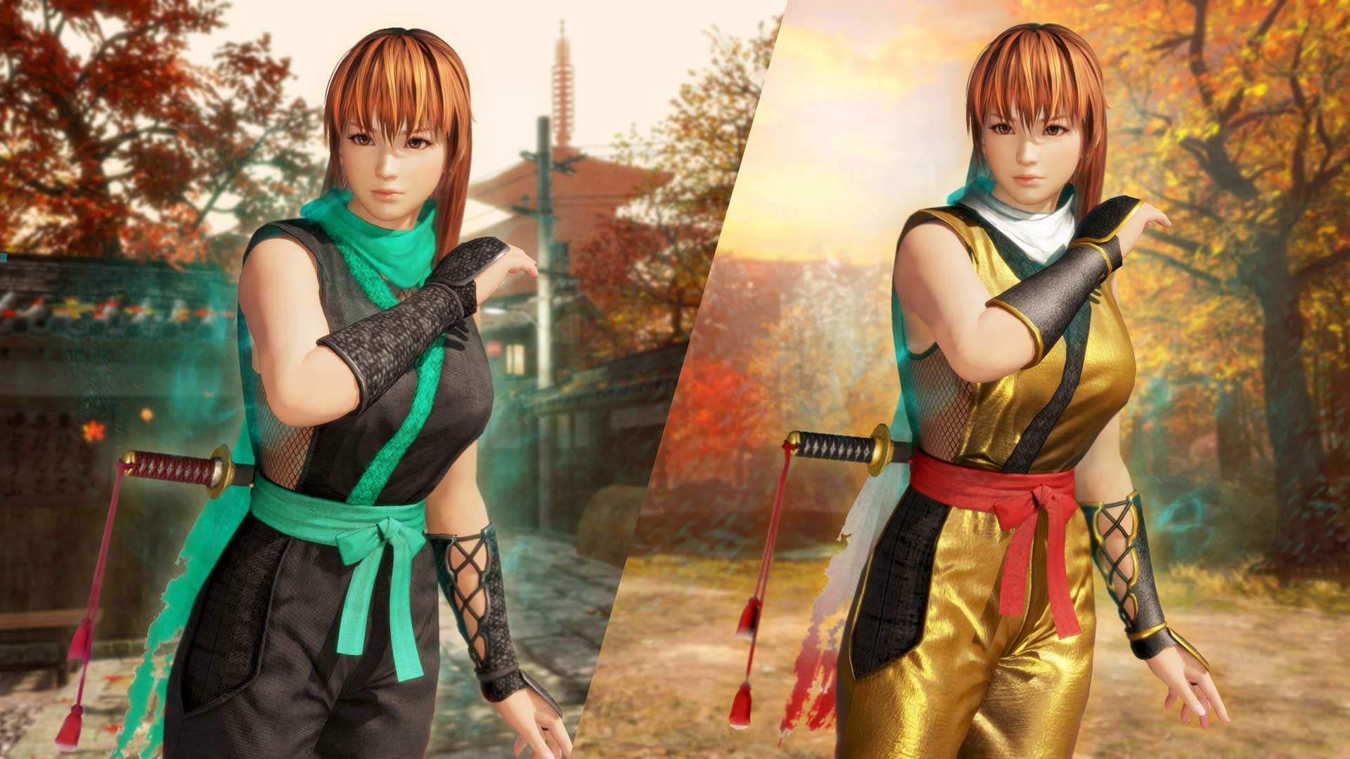 Dead or alive персонажи. Phase 4 Dead or Alive 6. Doa5 phase 4 арт. Dead or Alive 4. Doa персонажи.