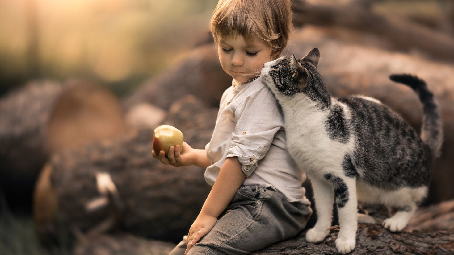 Детки играют с кисками. Для детей. Животные. Кошка для детей. Домашние животные и человек. Дети с животными.