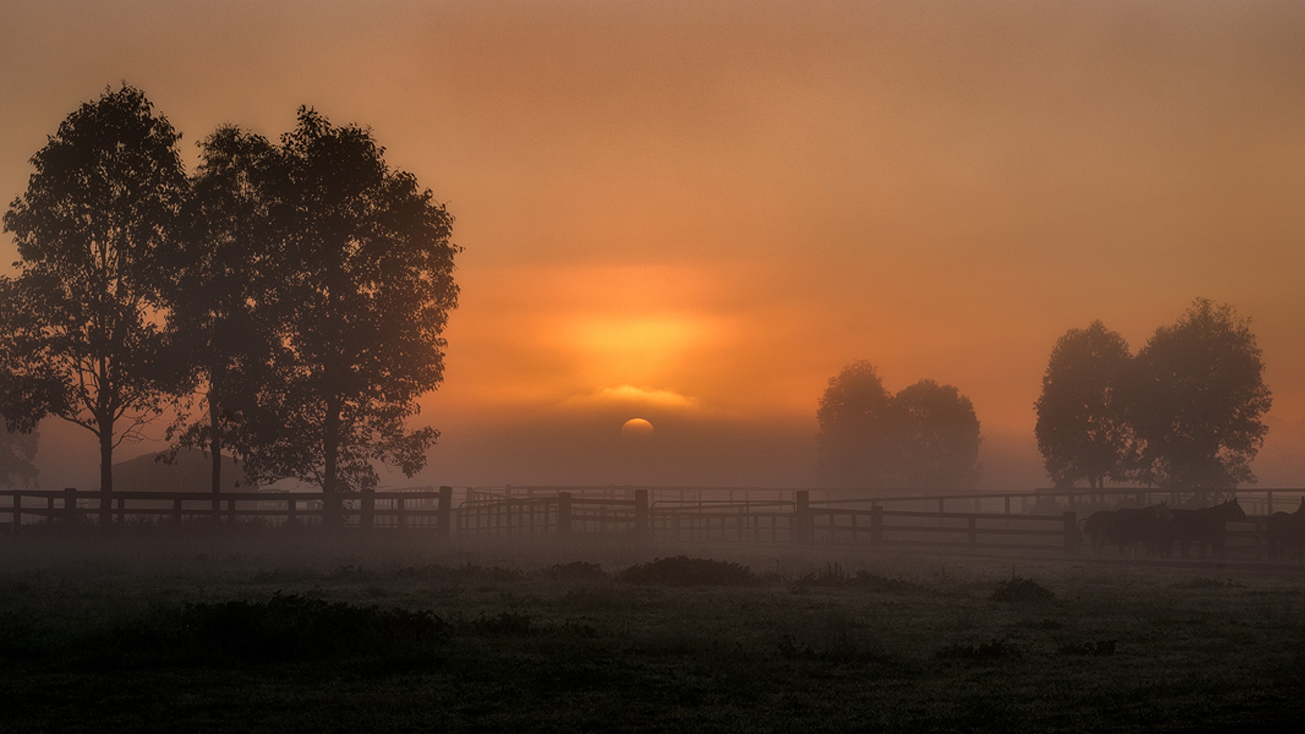 Земля рассвет. Sunrise on Earth long Shadow.