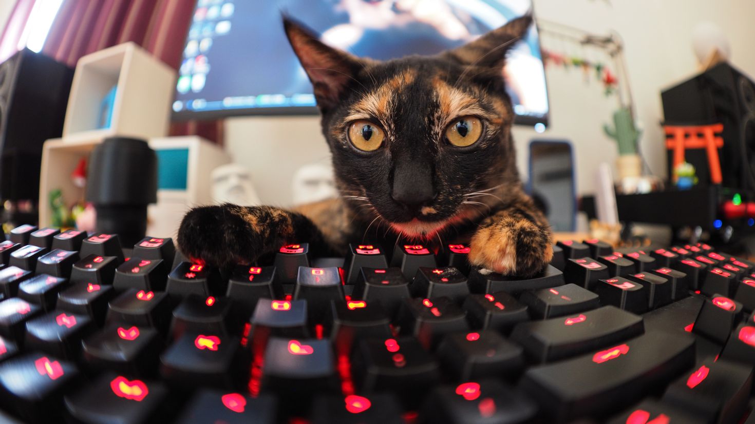 Аватарка на комп. Котик геймер. Коты геймеры. Крутые коты. Коты и компьютеры.
