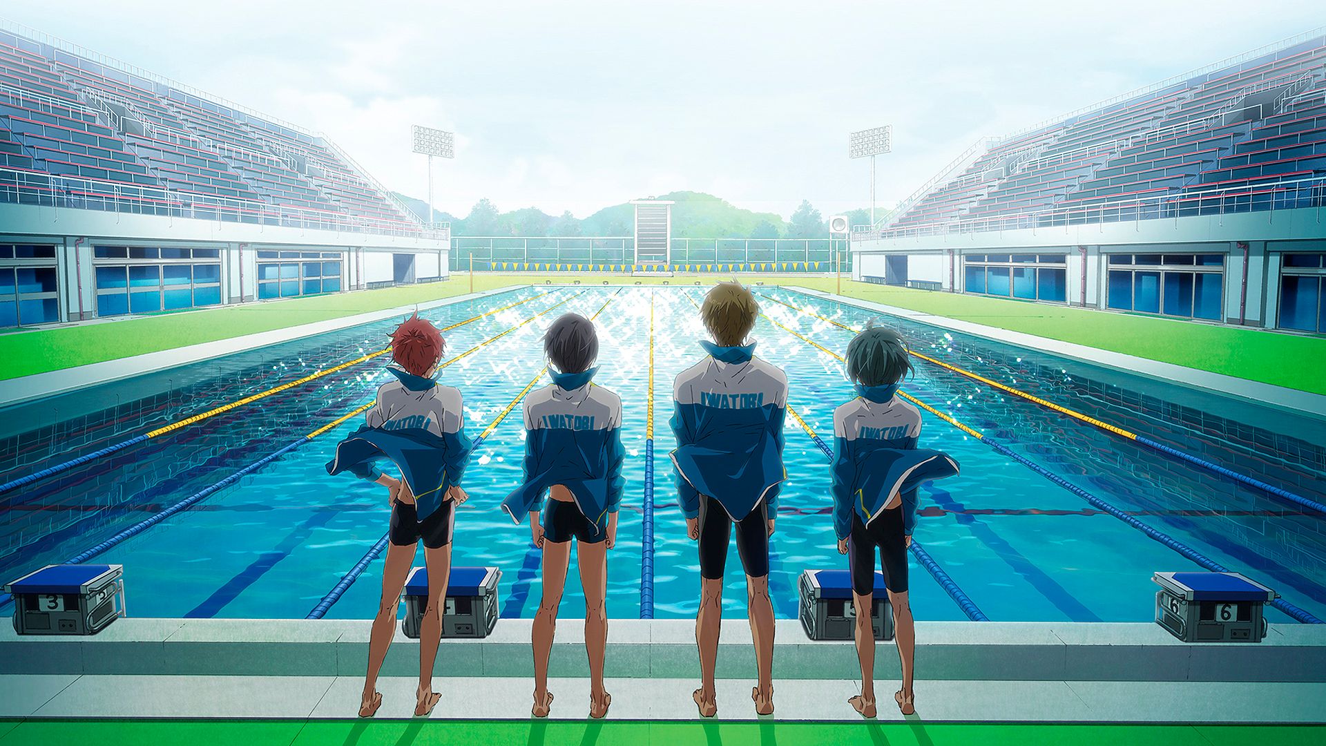 anime, free!, pool mobile wallpaper