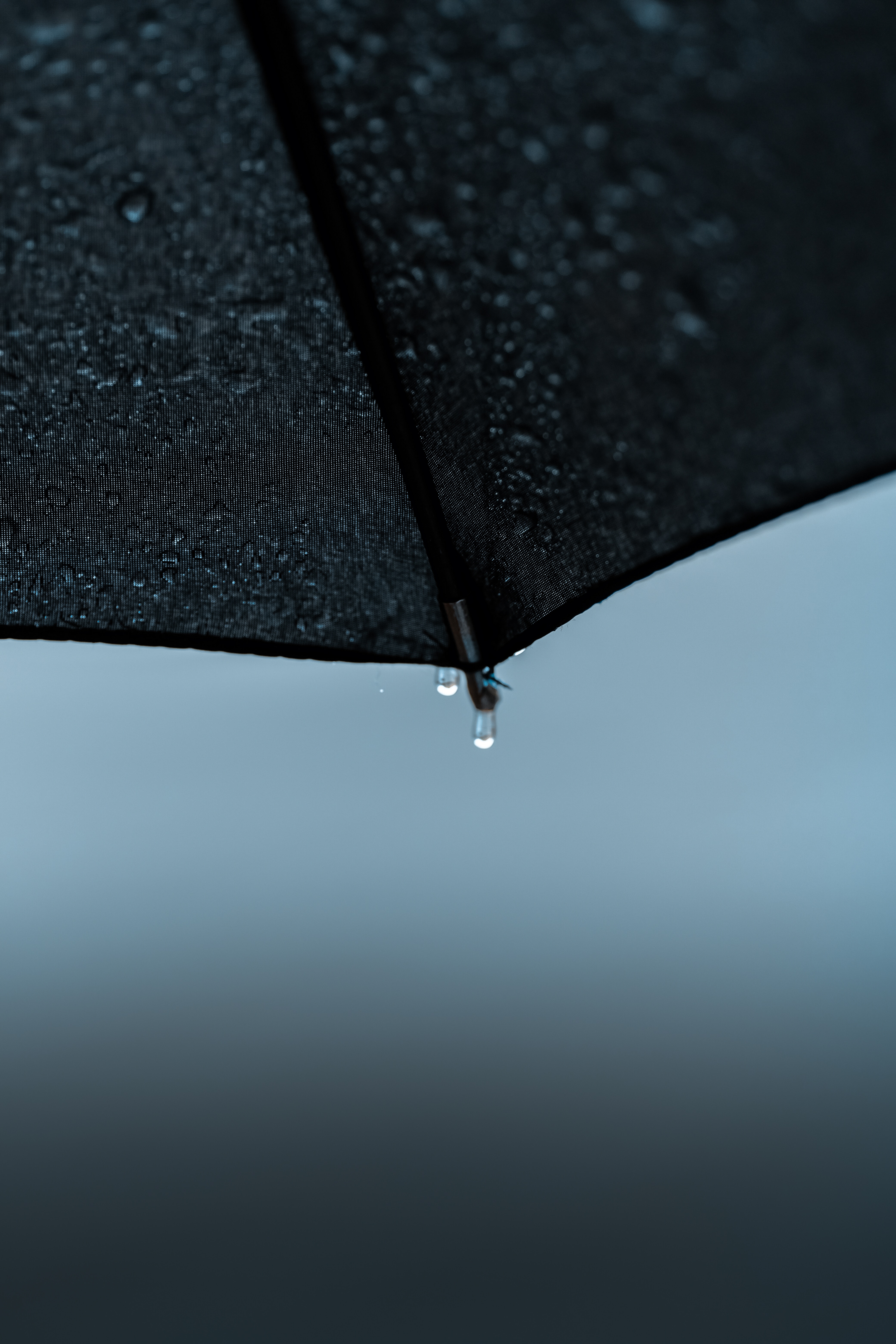 Laden Sie das Drops, Verschiedenes, Nass, Regenschirm, Sonstige, Regen-Bild kostenlos auf Ihren PC-Desktop herunter
