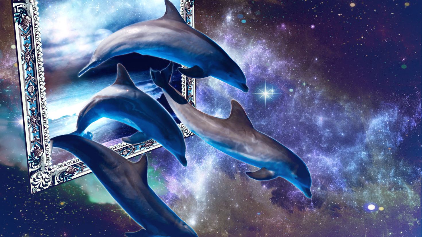 Космические дельфины