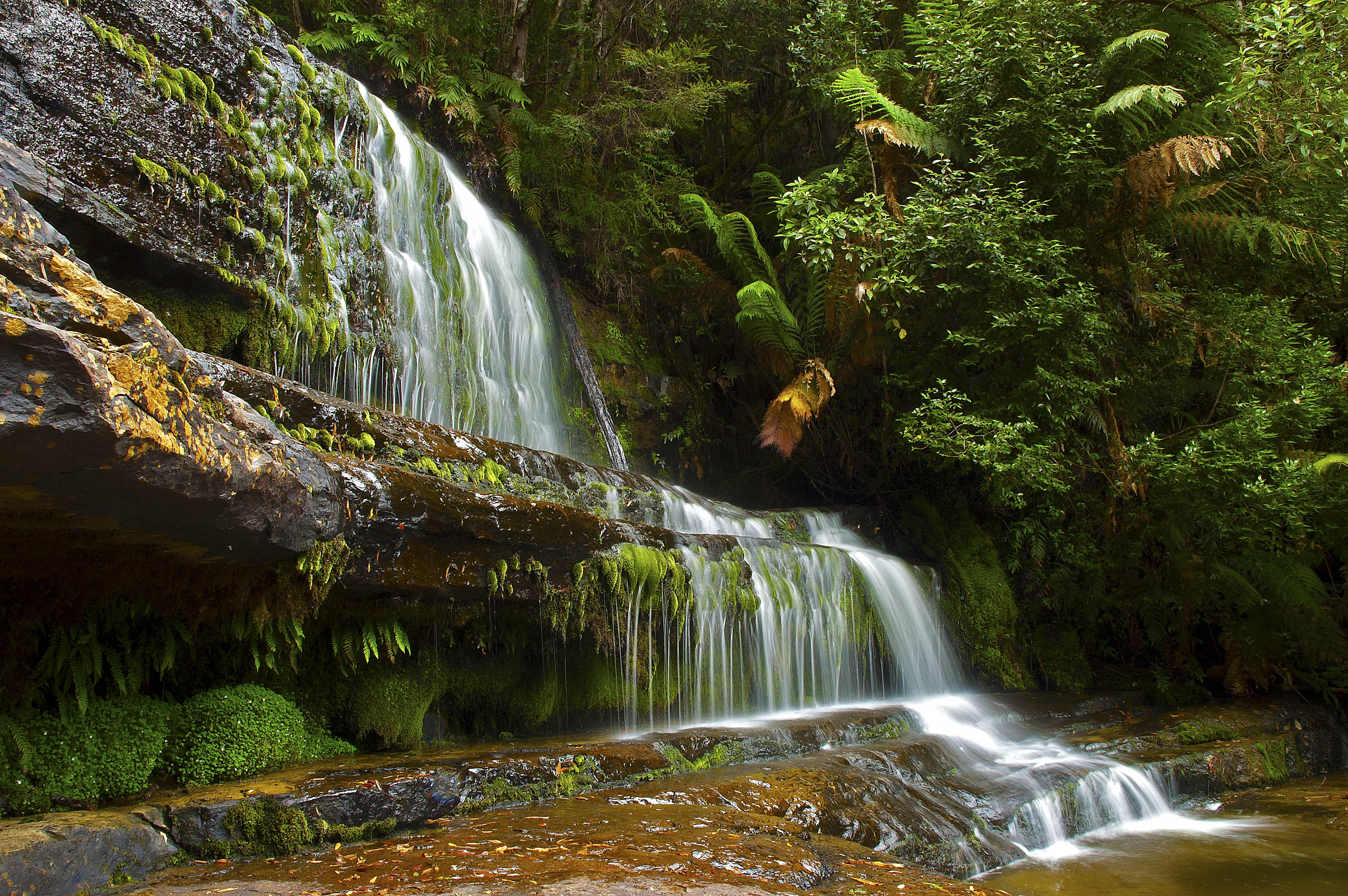 nature, landscape, trees, rocks, waterfall Smartphone Background