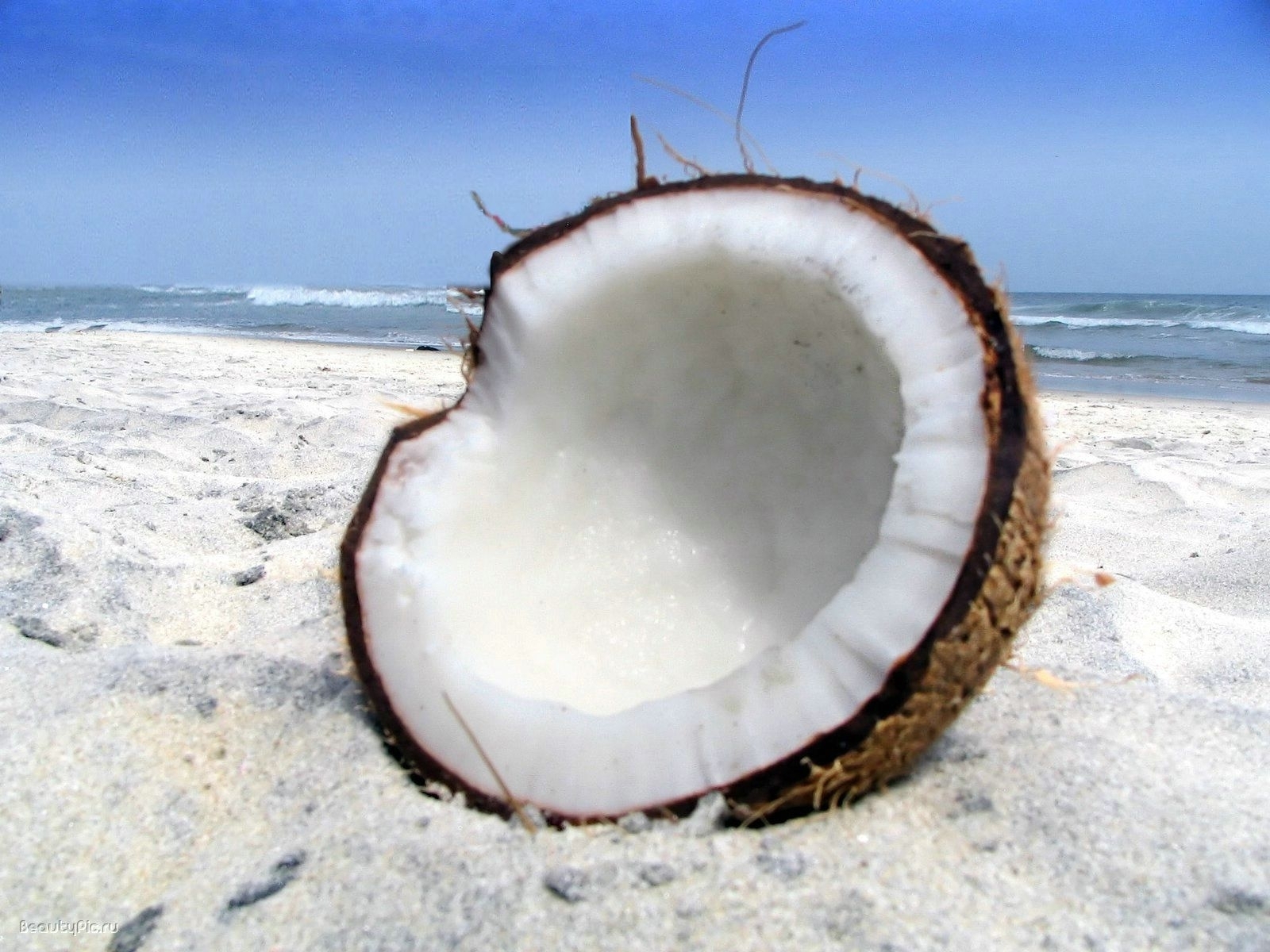 Handy-Wallpaper Lebensmittel, Coconuts kostenlos herunterladen.