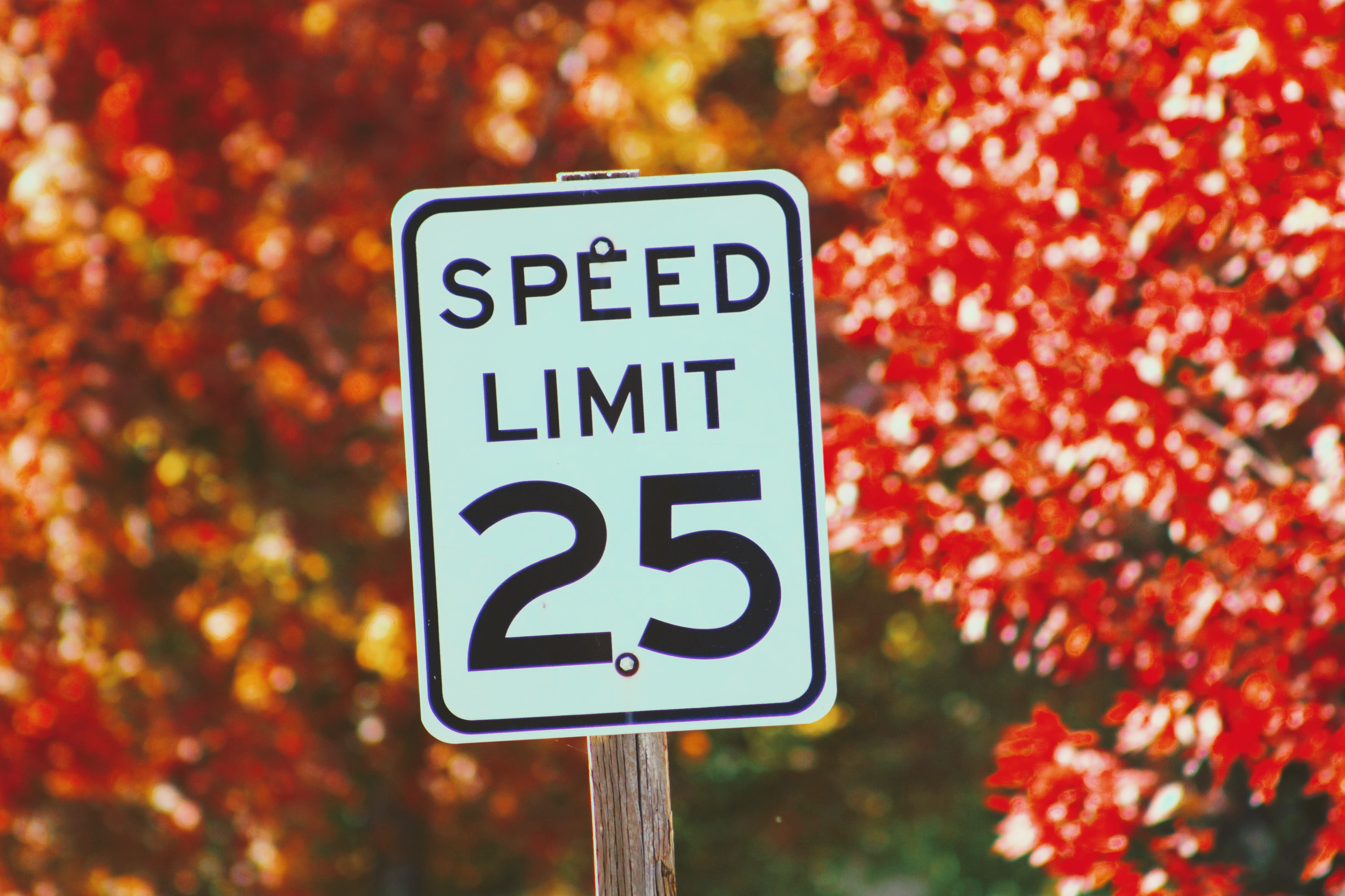 autumn, nature, speed, sign, limitation, restriction
