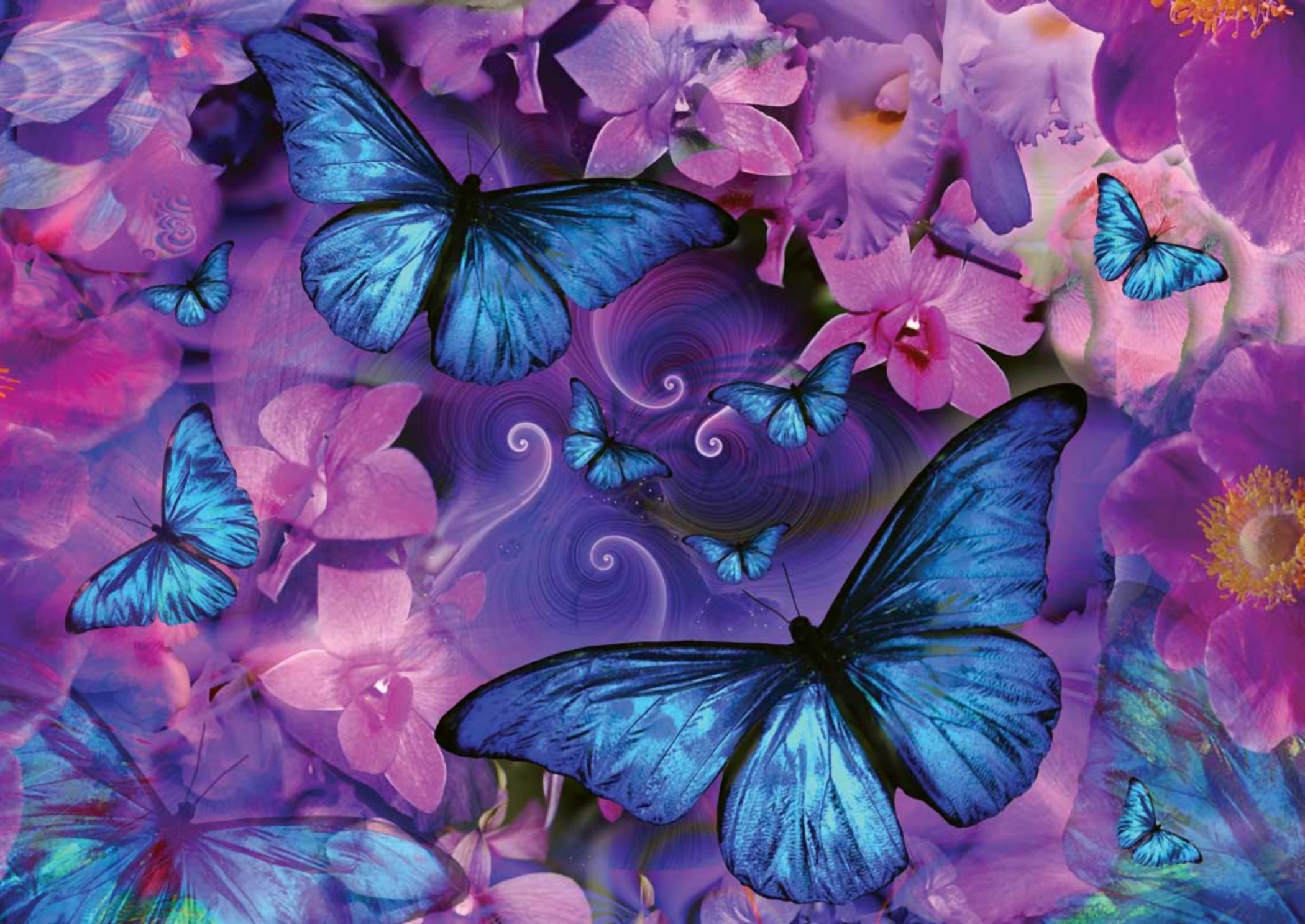 Розово голубая бабочка. Яркие бабочки. Синяя бабочка. Яркие цветы и бабочки. Бабочка на цветке.
