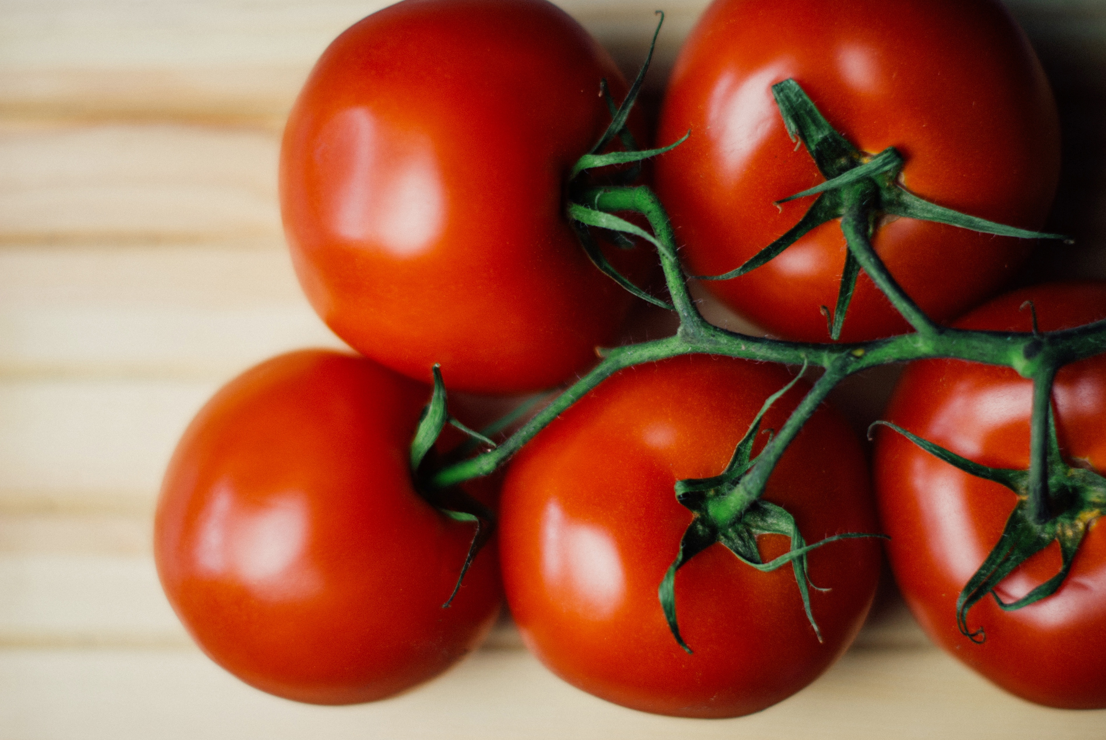 80355 скачать обои томаты, еда, овощи, ветка, витамины - заставки и картинки бесплатно