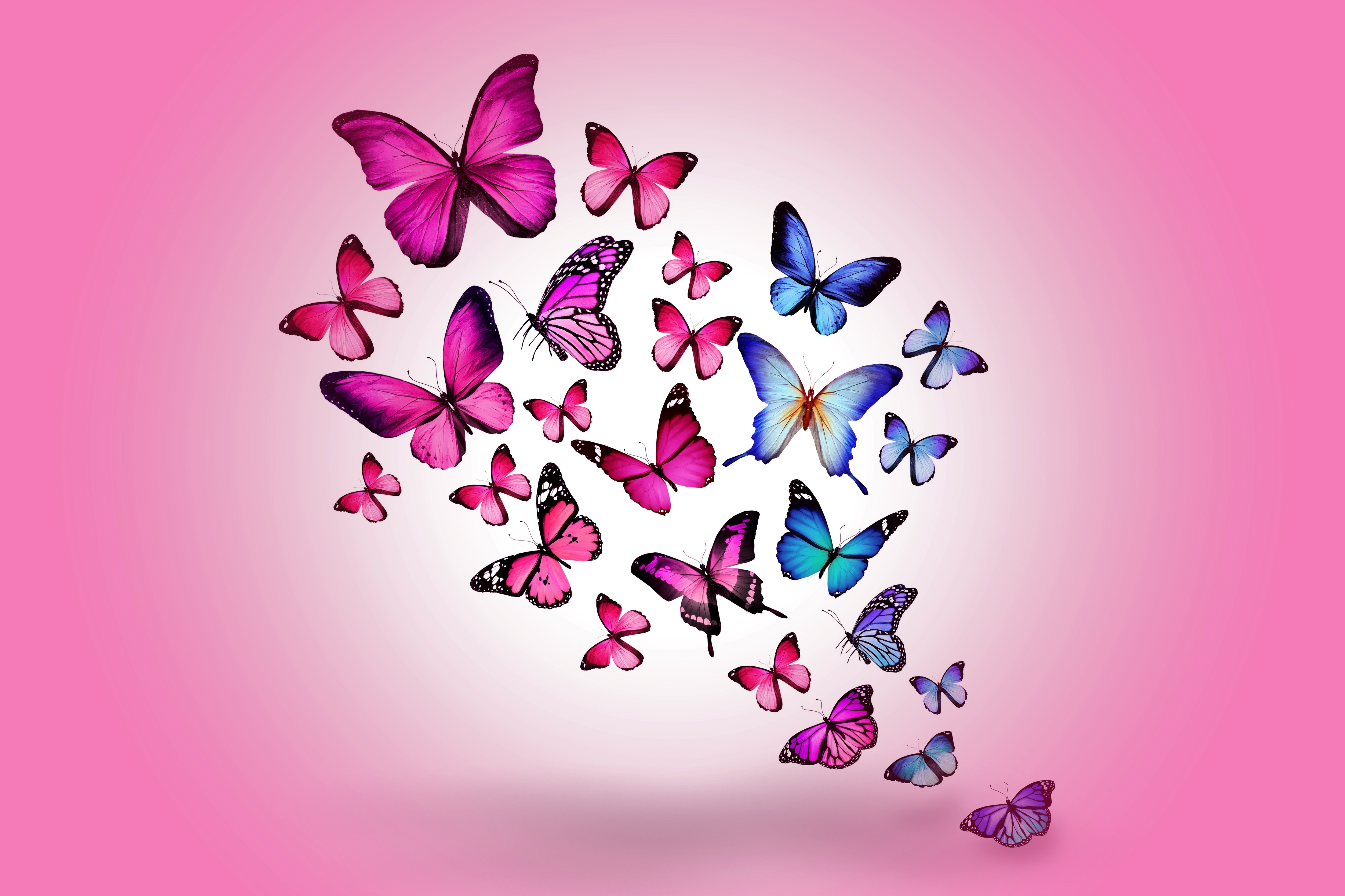 background, butterflies, multicolored, drawing, pink, miscellanea, miscellaneous, picture, flight HD wallpaper