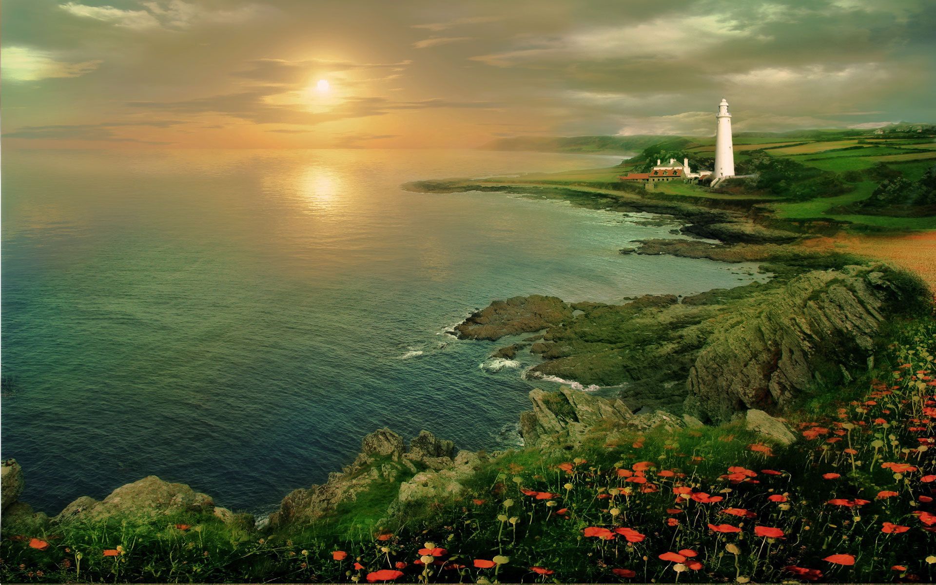 sunset, height, poppies, nature, flowers, sea, coast, lighthouse