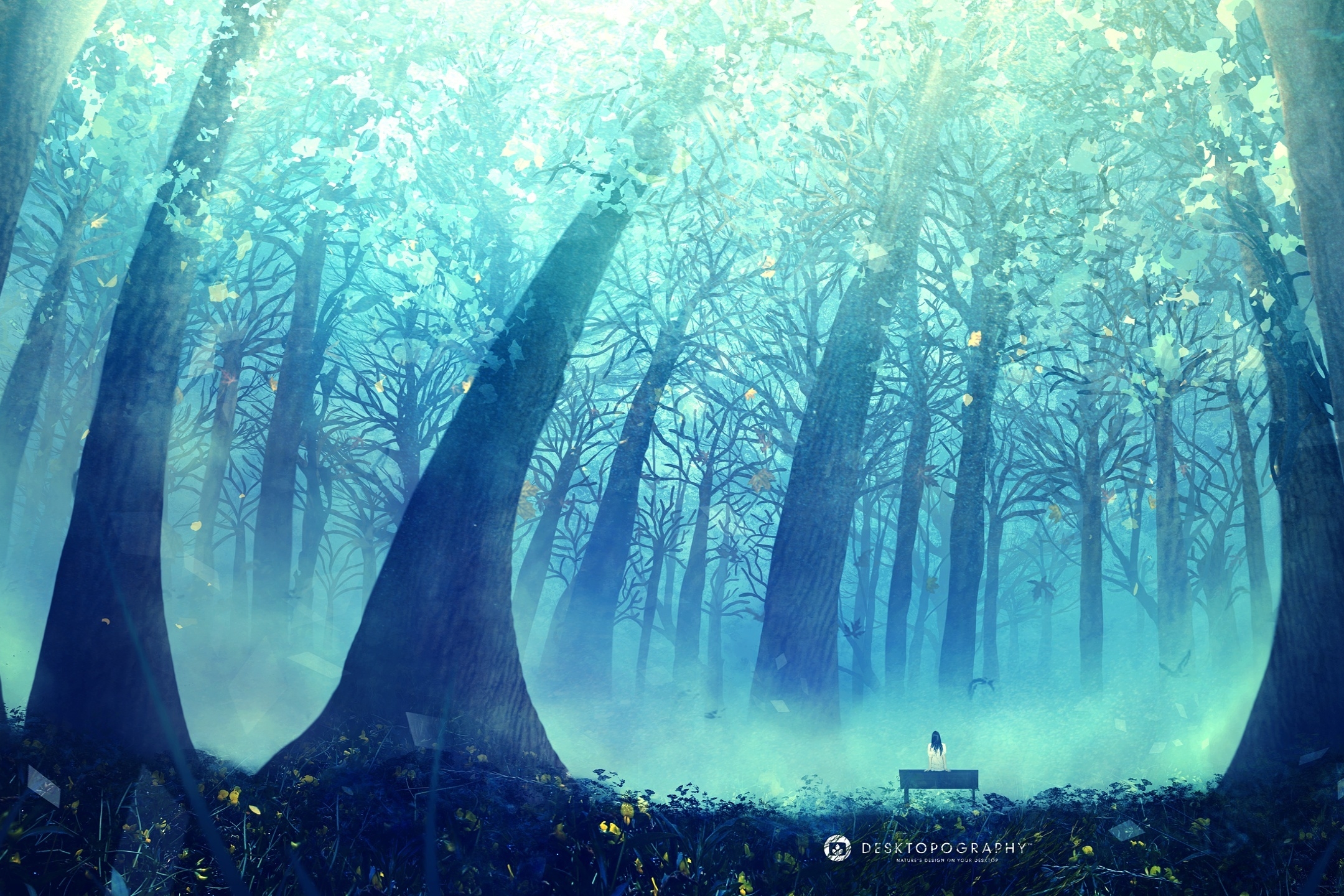 Download mobile wallpaper Forest, Tree, Bench, Artistic, Desktopography for free.