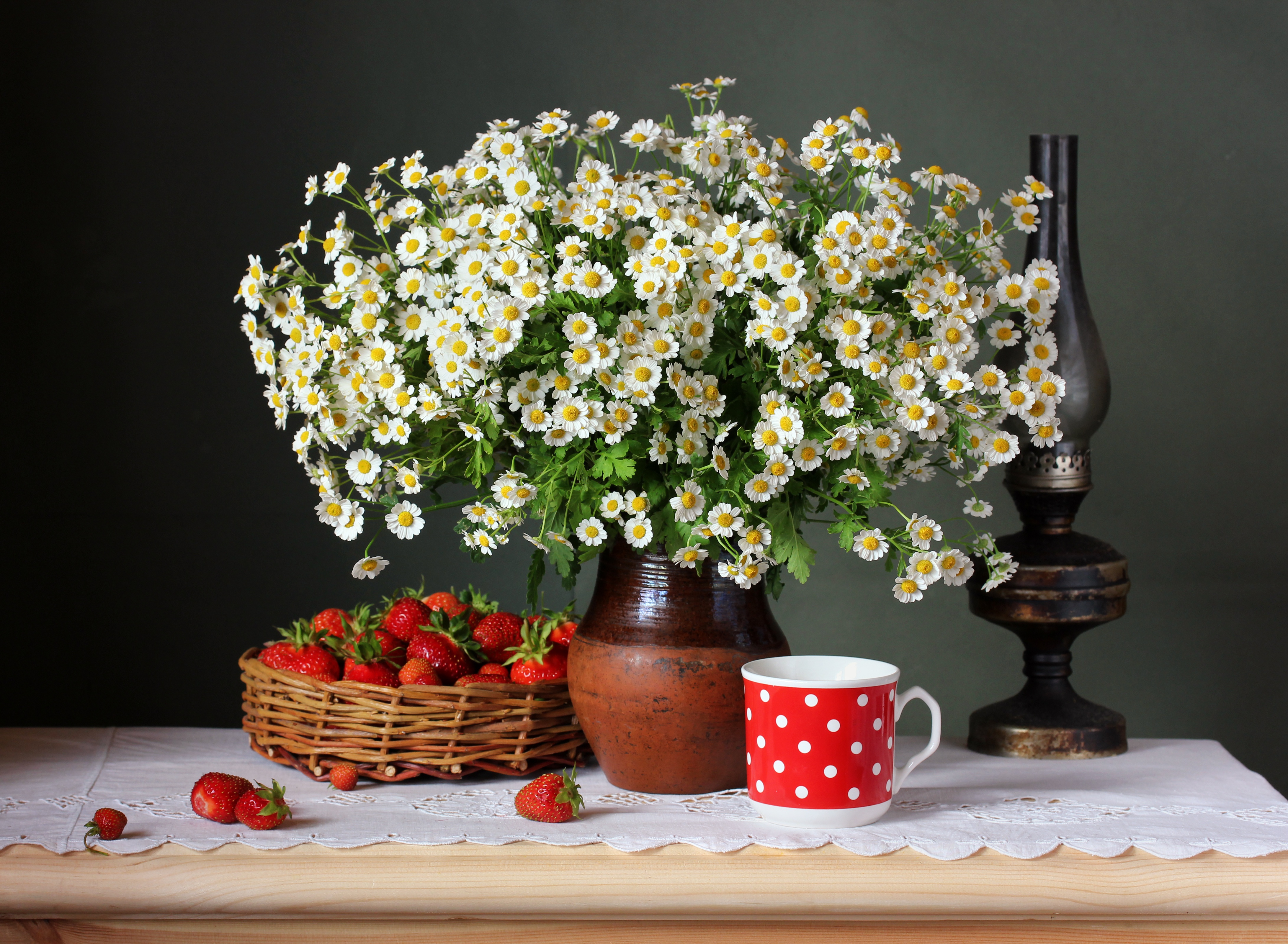 Download mobile wallpaper Strawberry, Still Life, Flower, Berry, Fruit, Chamomile, Photography for free.