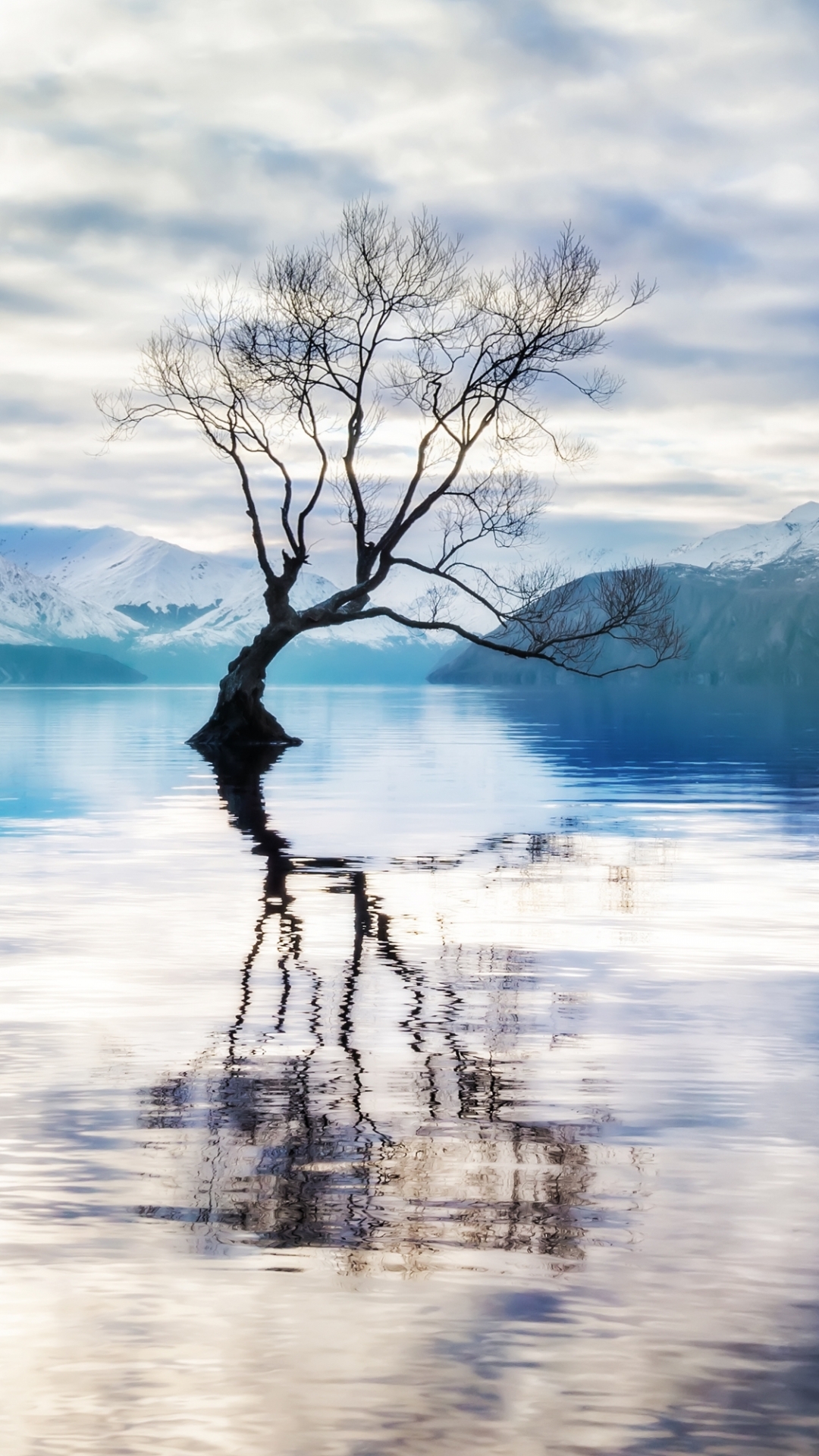 Download mobile wallpaper Landscape, Lakes, Mountain, Lake, Reflection, Tree, Earth, Lonely Tree, Lake Wānaka for free.