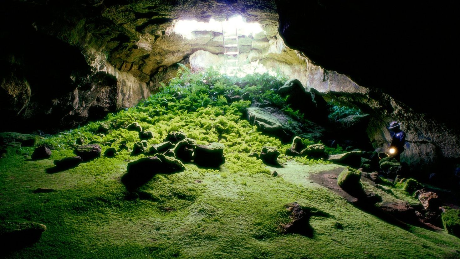 Cave v