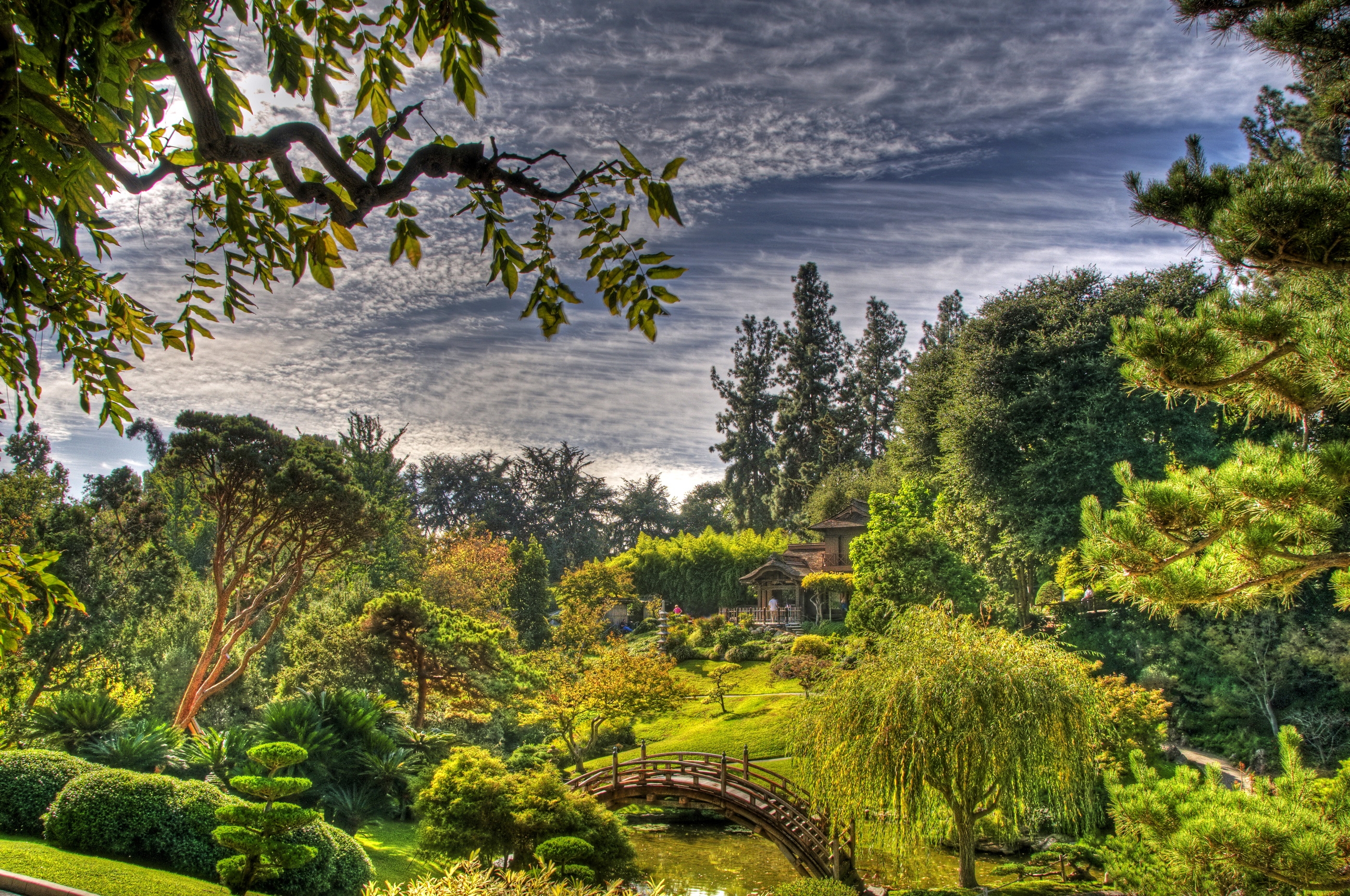 garden, nature, sky, leaves, clouds, green, vegetation, bridge, alcove, bower, arboretum