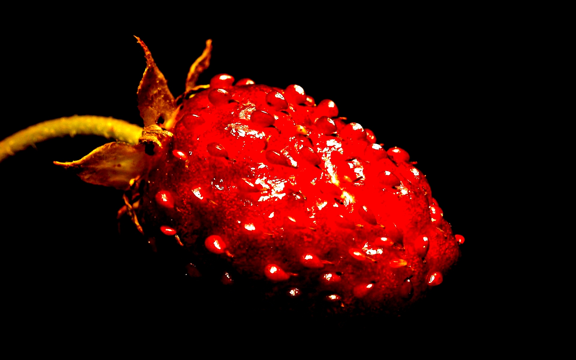 Красные ягоды на темном фоне