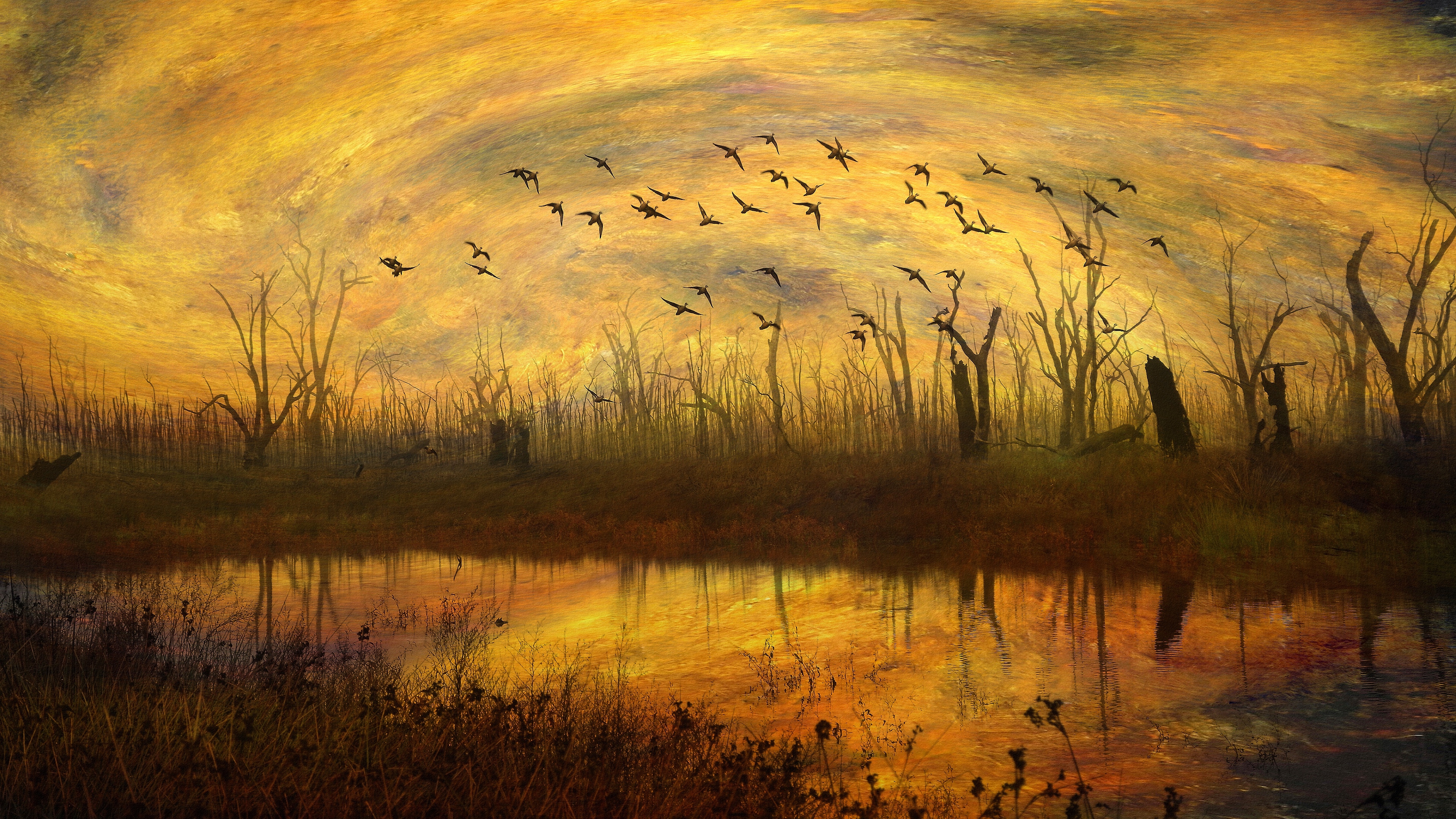 HD wallpaper painting, flock of birds, artistic