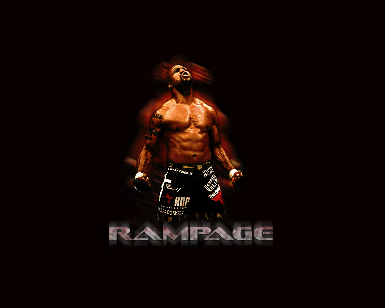 sports, mma, quinton jackson, mixed martial arts, ultimate fighting championship