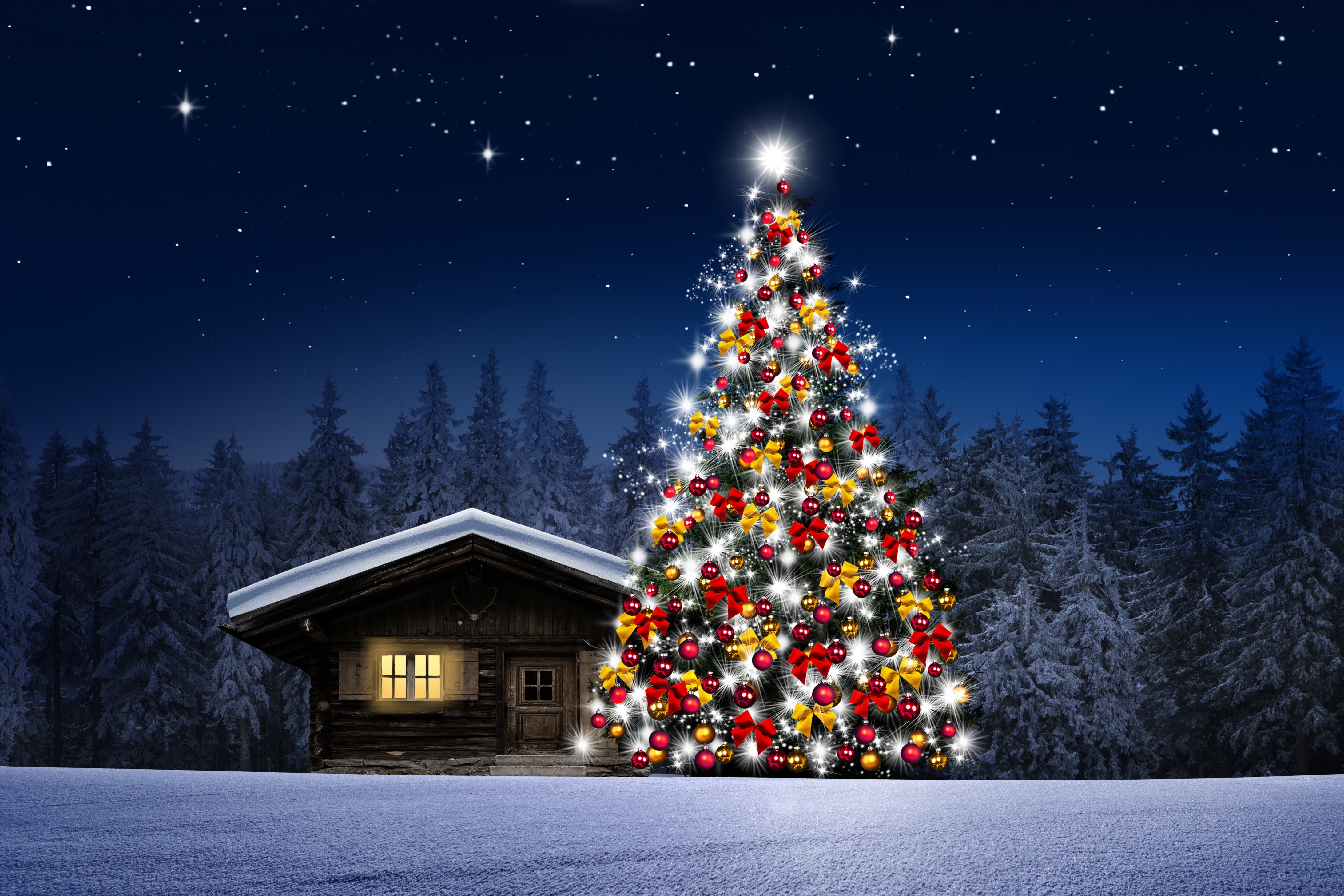 Скачать картинку Снег, Лес, Рождество, Домик, Рождественская Елка, Праздничные в телефон бесплатно.
