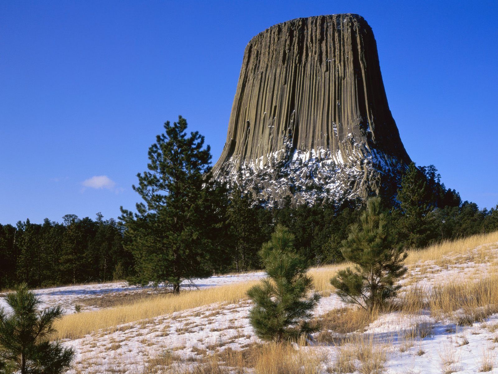 Handy-Wallpaper Wyoming, Devils Tower Nationaldenkmal, Teufelsturm Nationaldenkmal, Bäume, Berg, Natur kostenlos herunterladen.