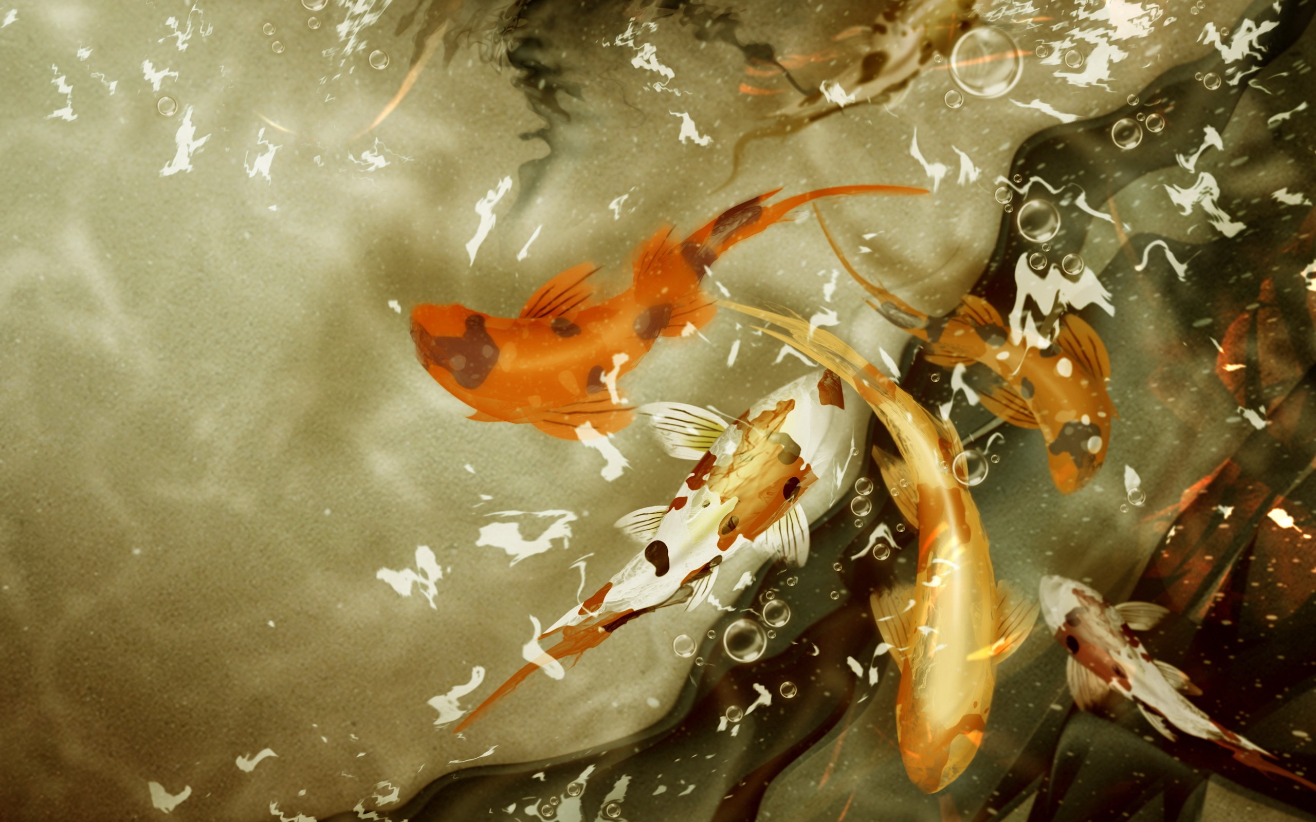 Cool Backgrounds  Koi