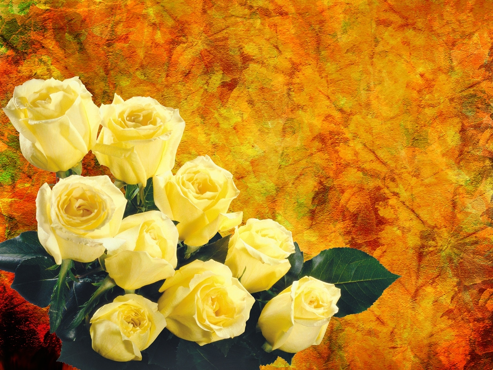 artistic, rose, flower, yellow flower, yellow rose Full HD