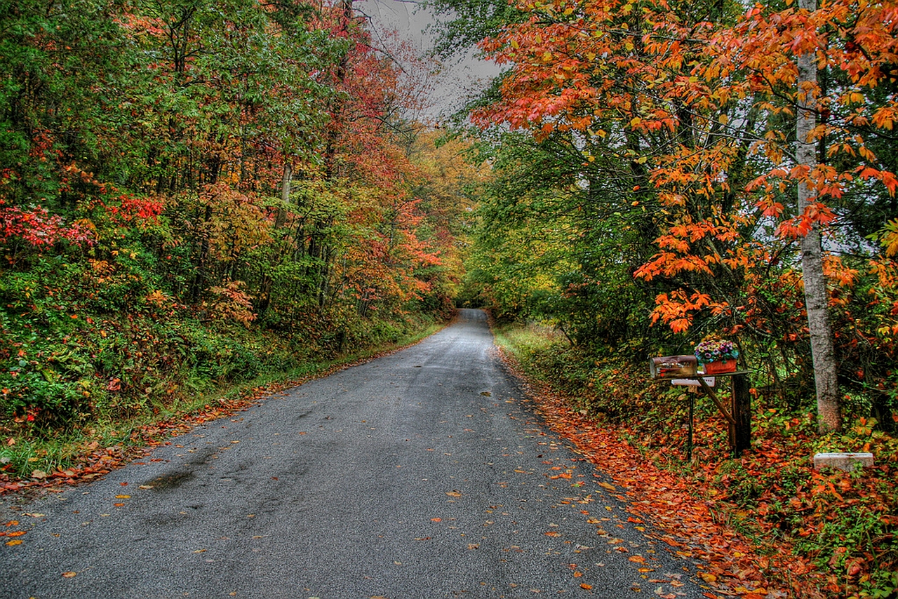 Road making