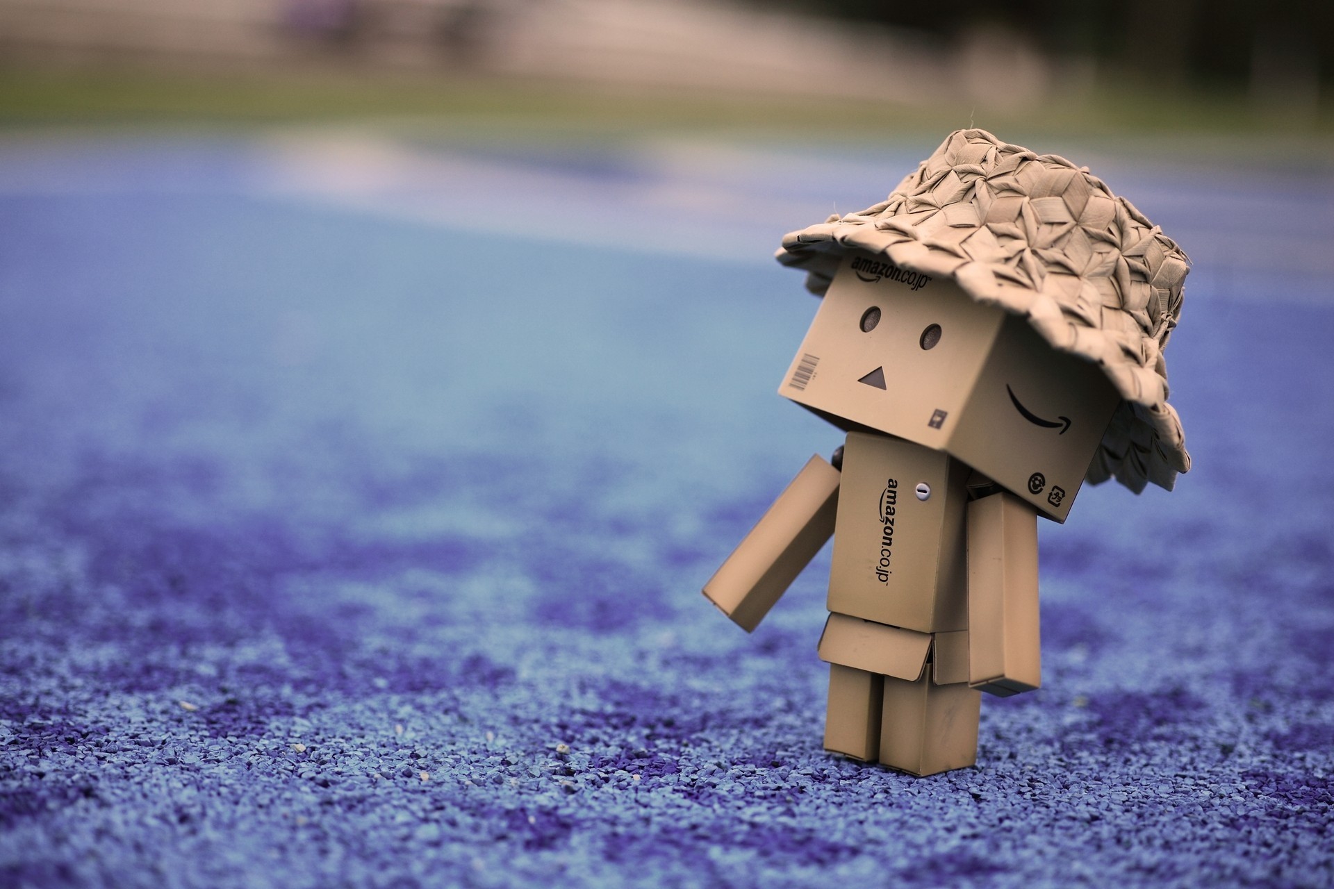 miscellanea, miscellaneous, stroll, danbo, cardboard robot, hat