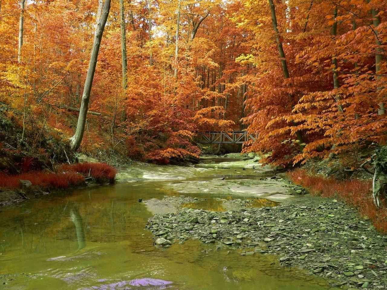 Download mobile wallpaper Landscape, Rivers, Trees, Autumn for free.