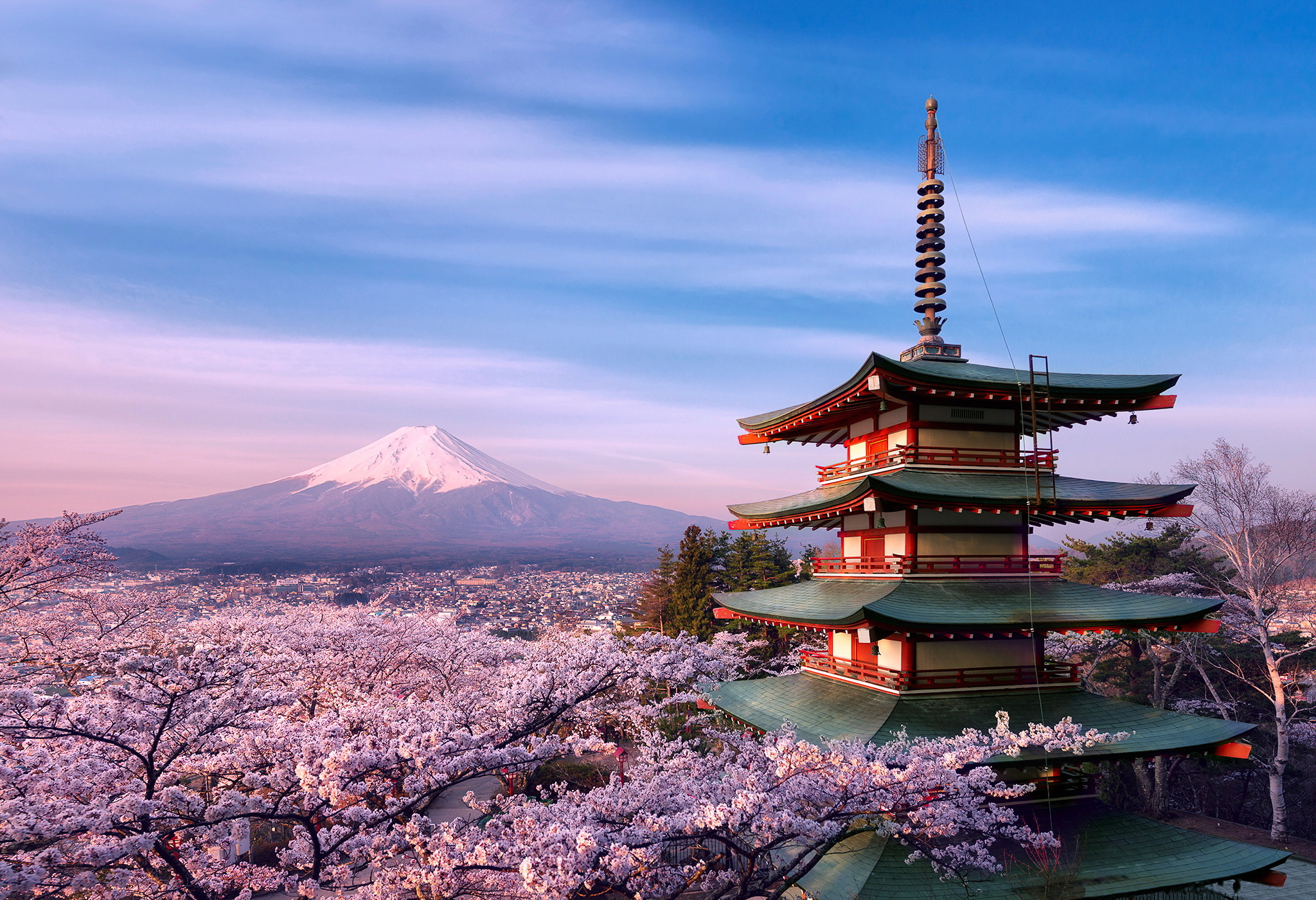 japan, volcanoes, mount fuji, light, pagoda, sakura, earth, flower, pink