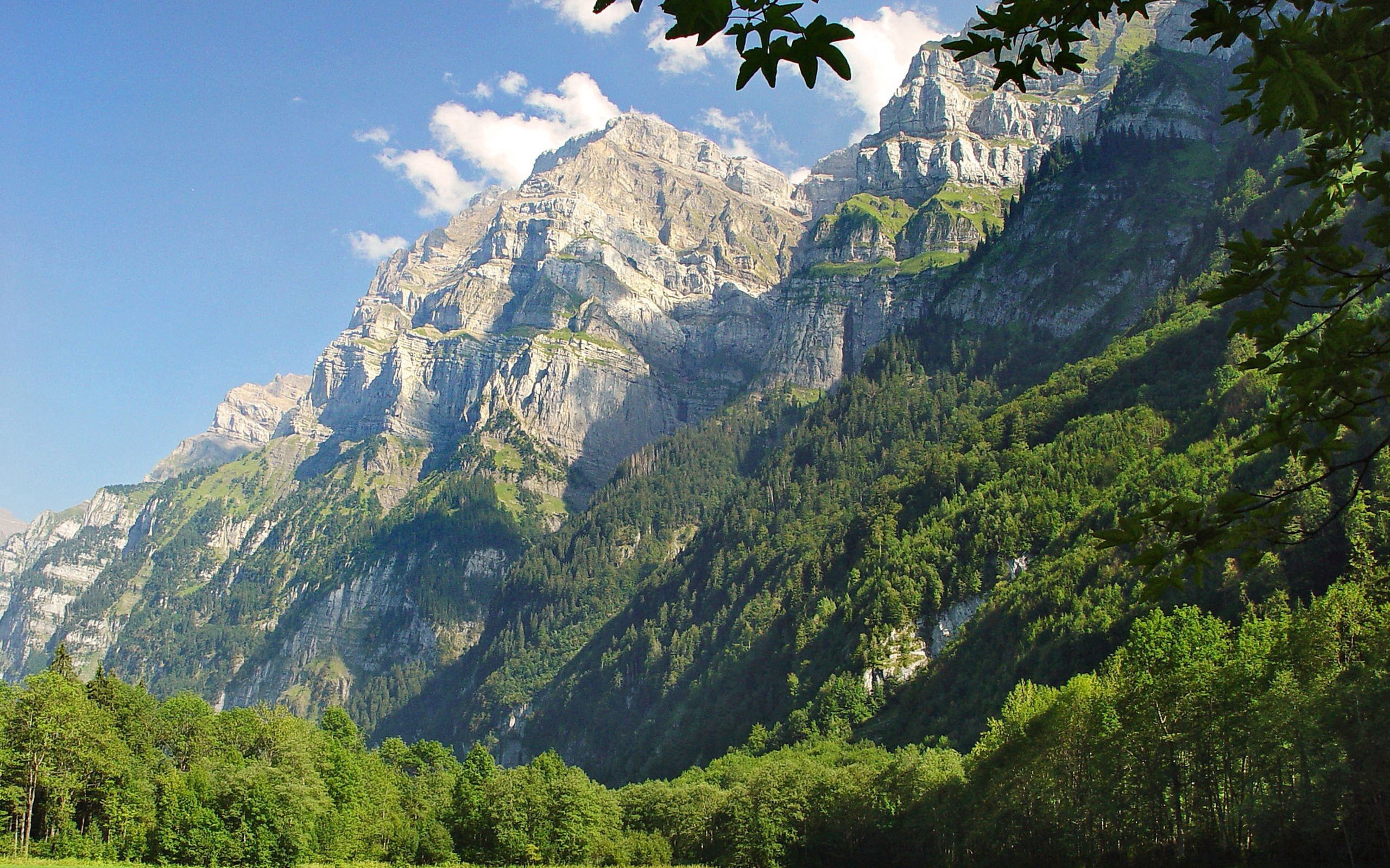 Handy-Wallpaper Mountains, Natur, Bäume, Grass, Grüne, Grünen kostenlos herunterladen.